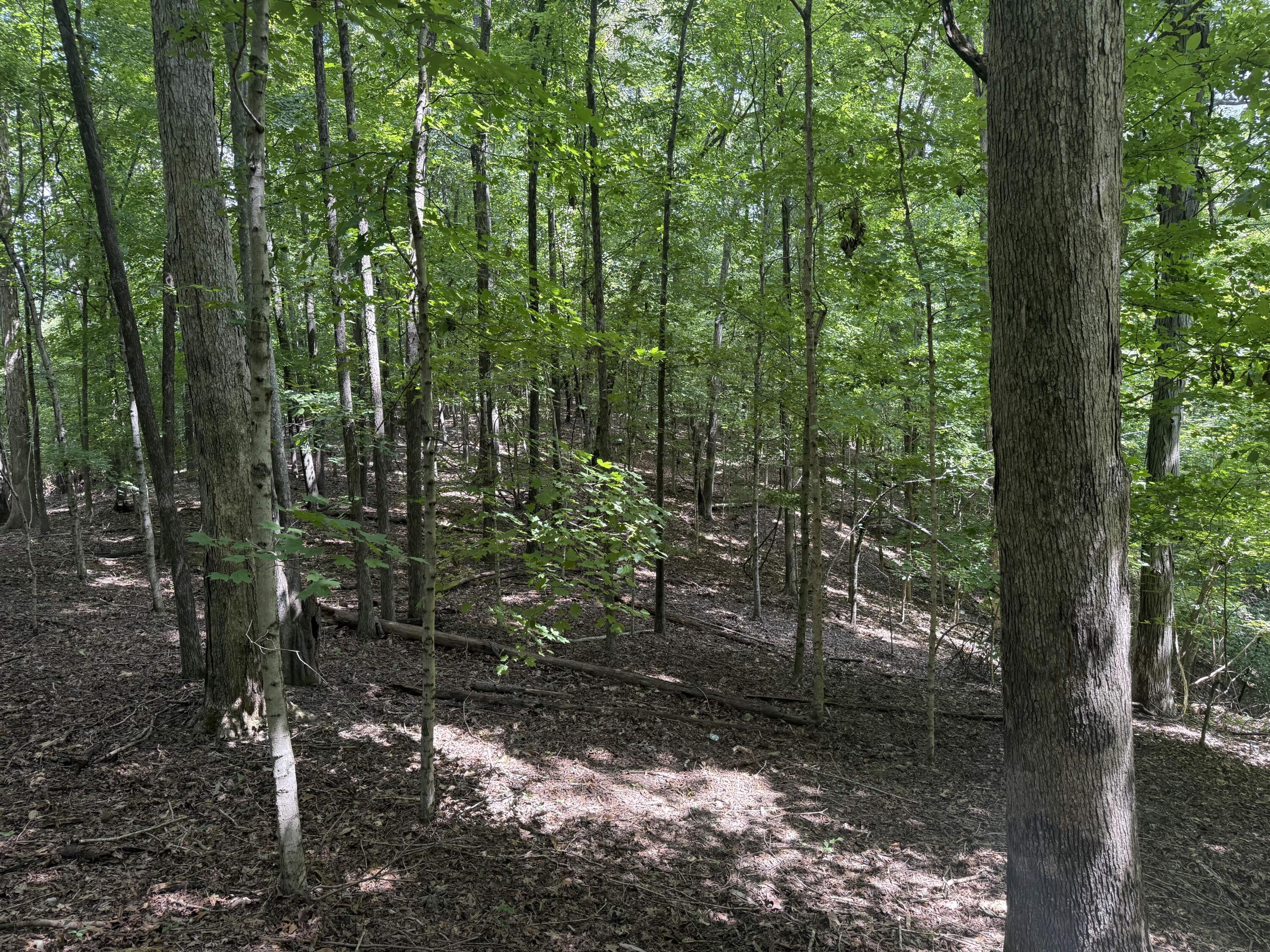 0 Perry Springs Road Property Photo 1