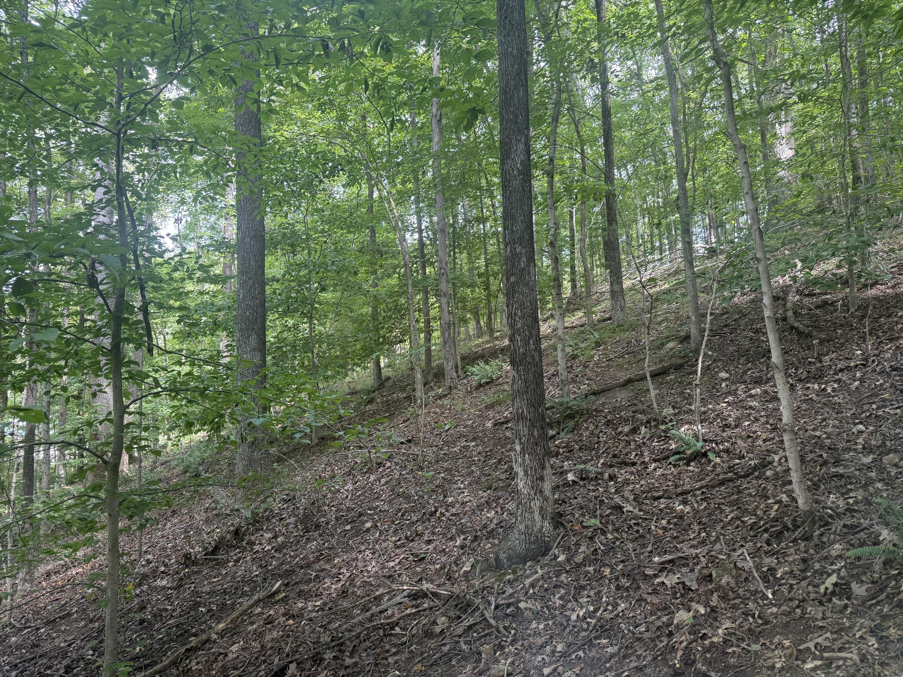 0 Perry Springs Road Property Photo 5