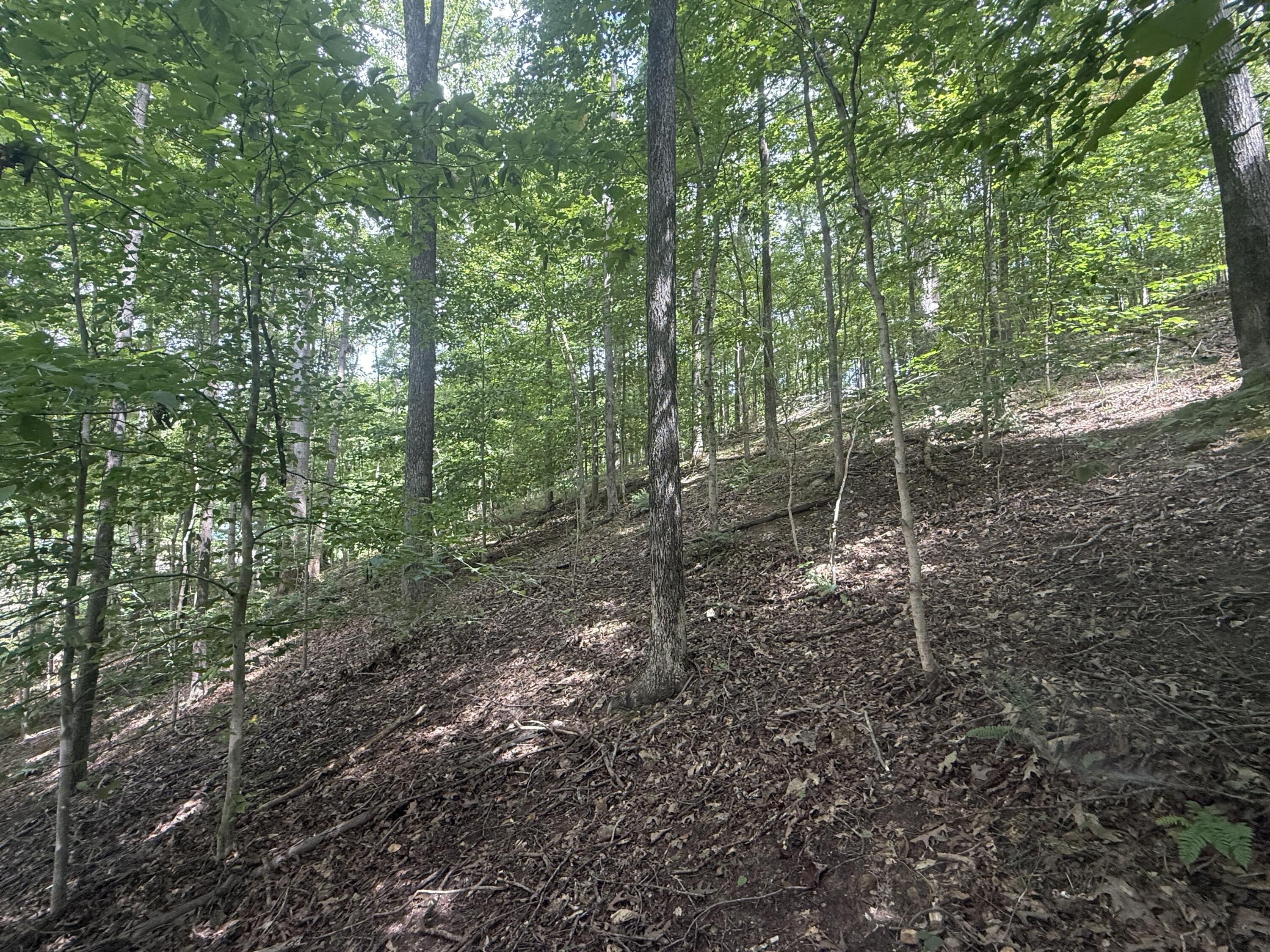 0 Perry Springs Road Property Photo 9