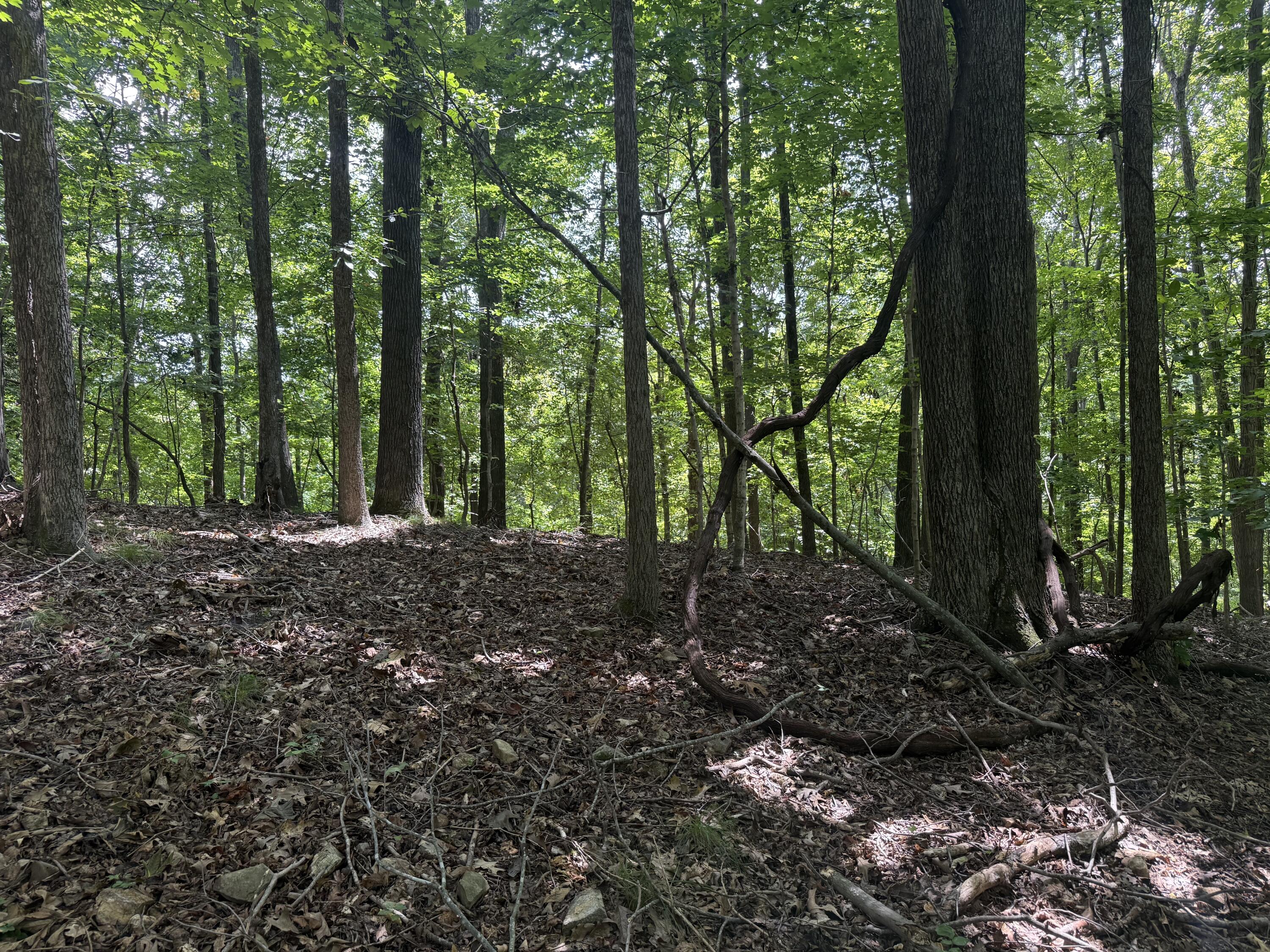 0 Perry Springs Road Property Photo 11