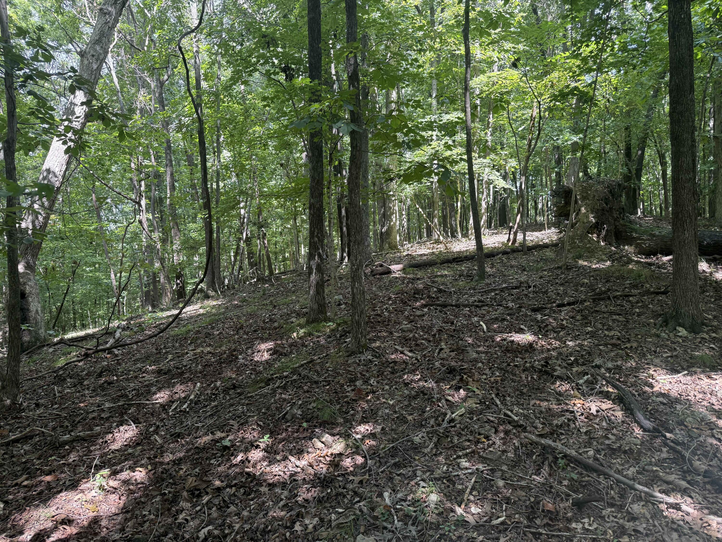 0 Perry Springs Road Property Photo 13