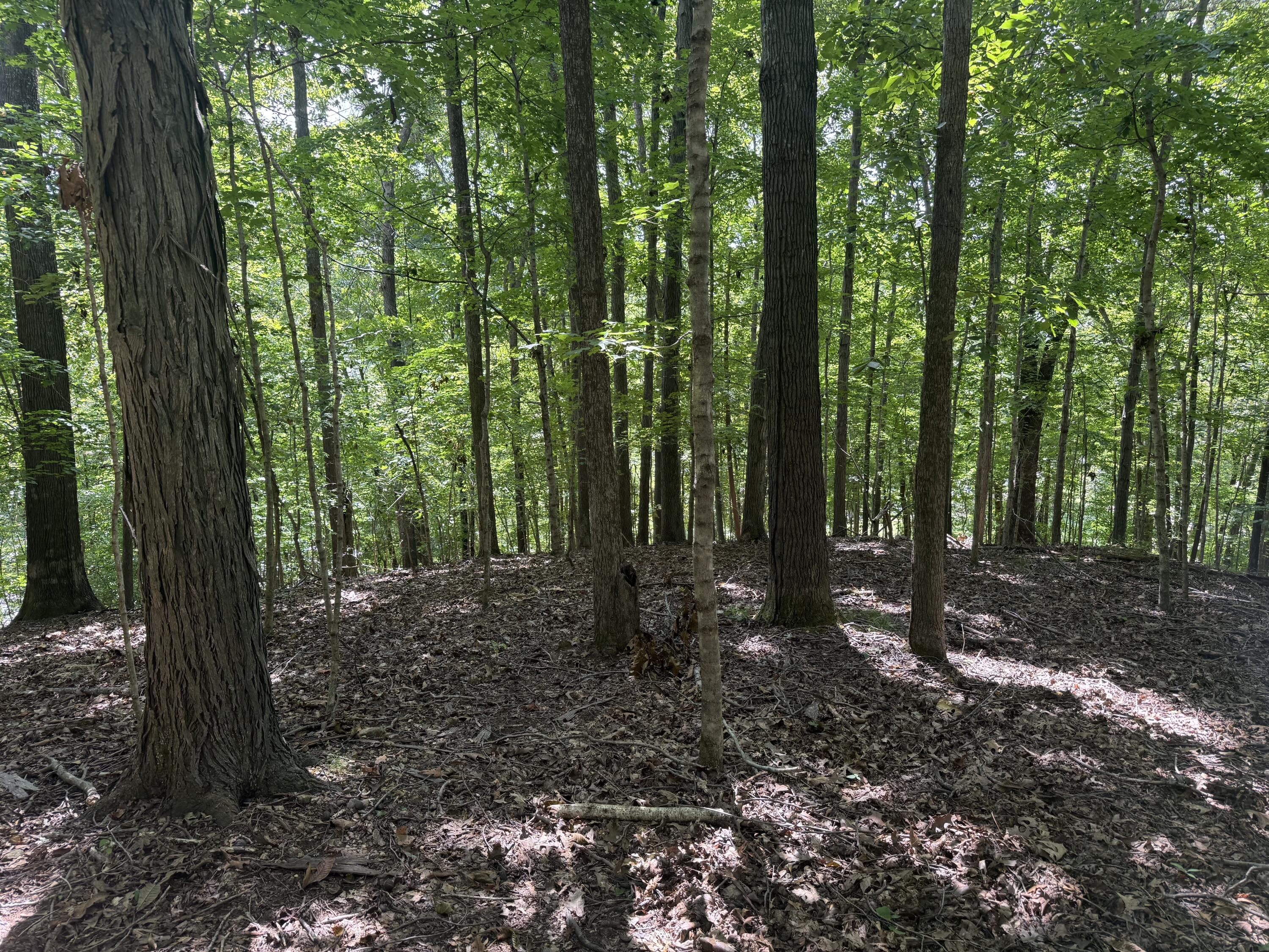 0 Perry Springs Road Property Photo 14