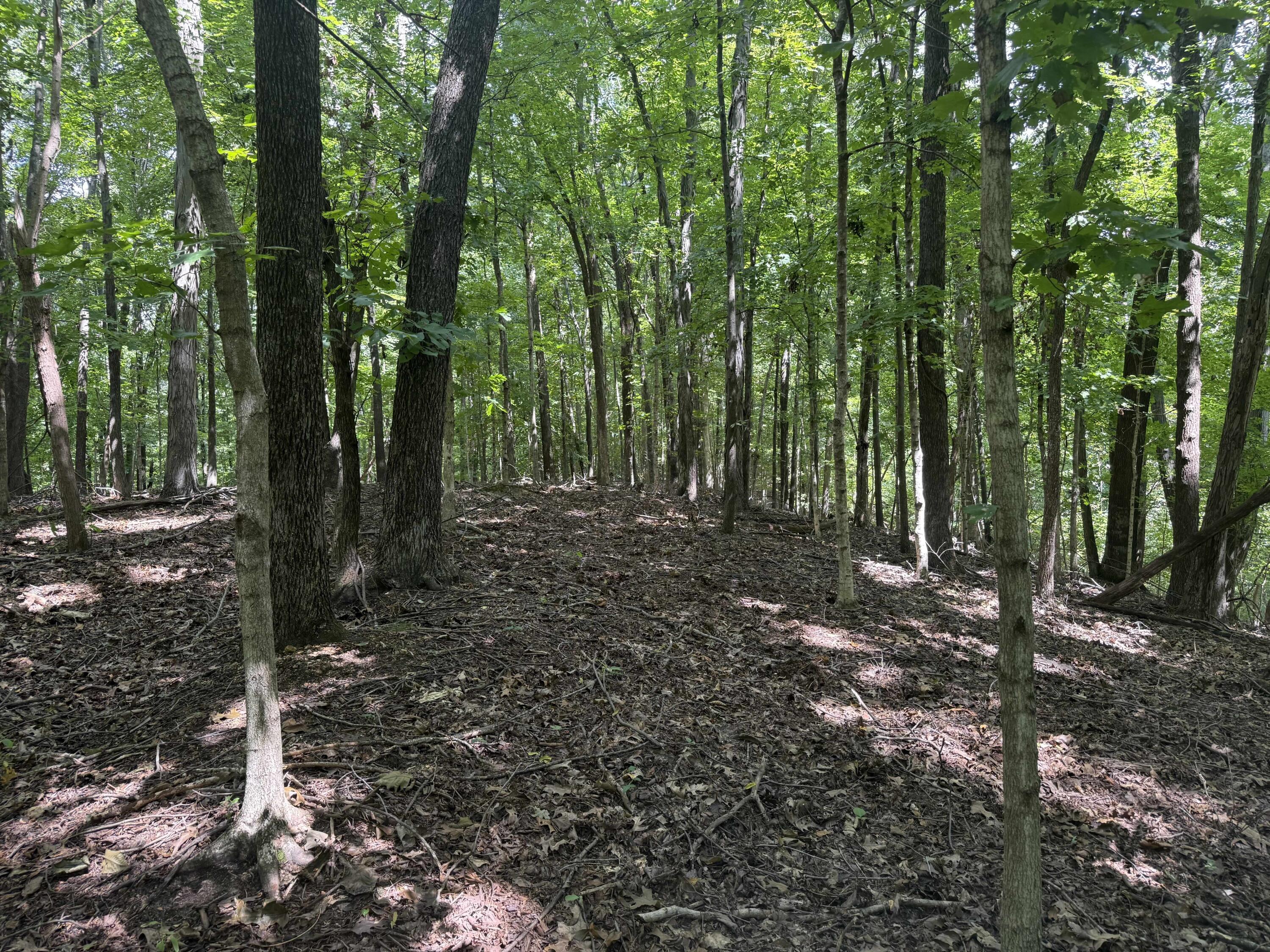 0 Perry Springs Road Property Photo 15