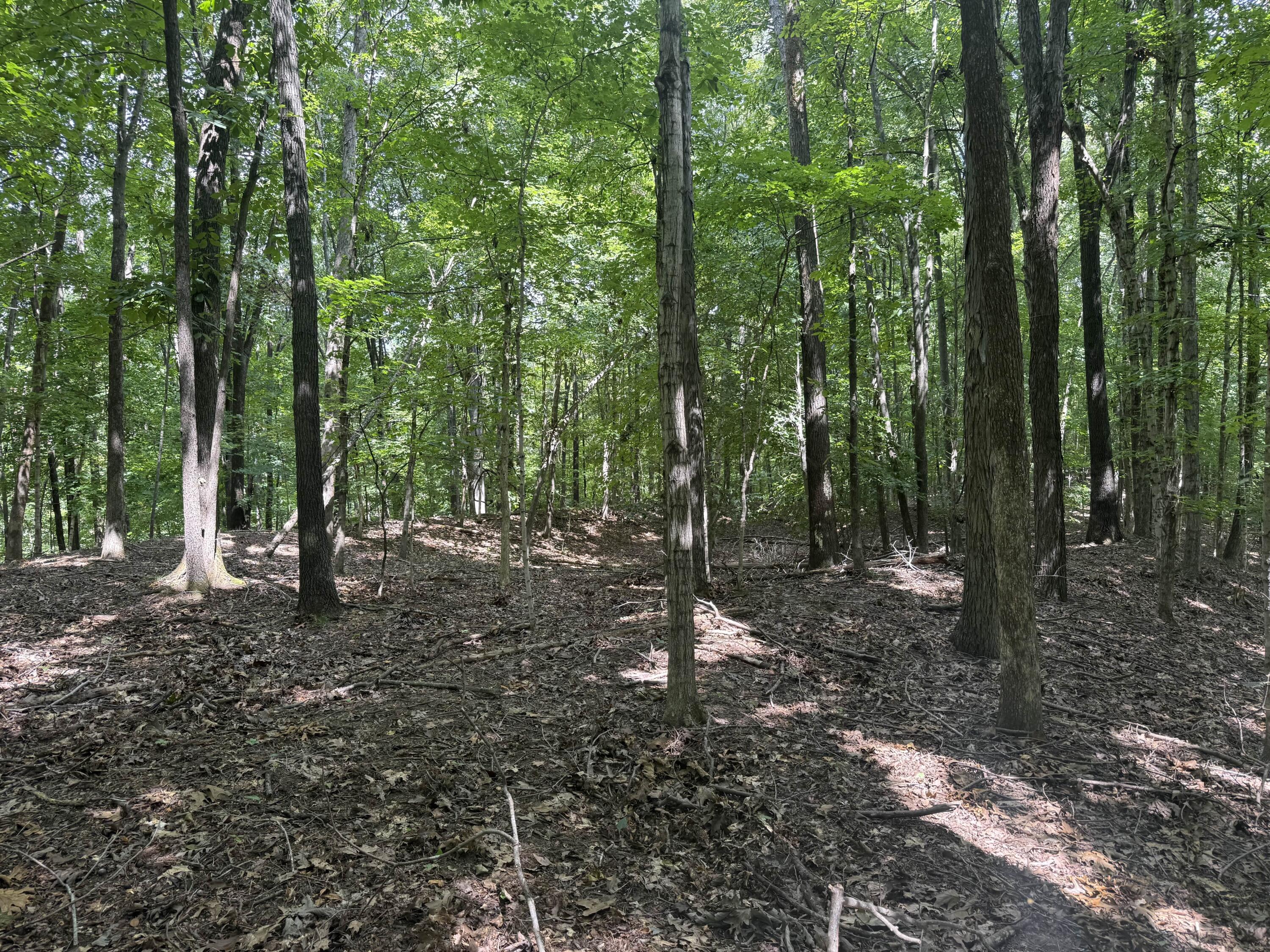 0 Perry Springs Road Property Photo 17
