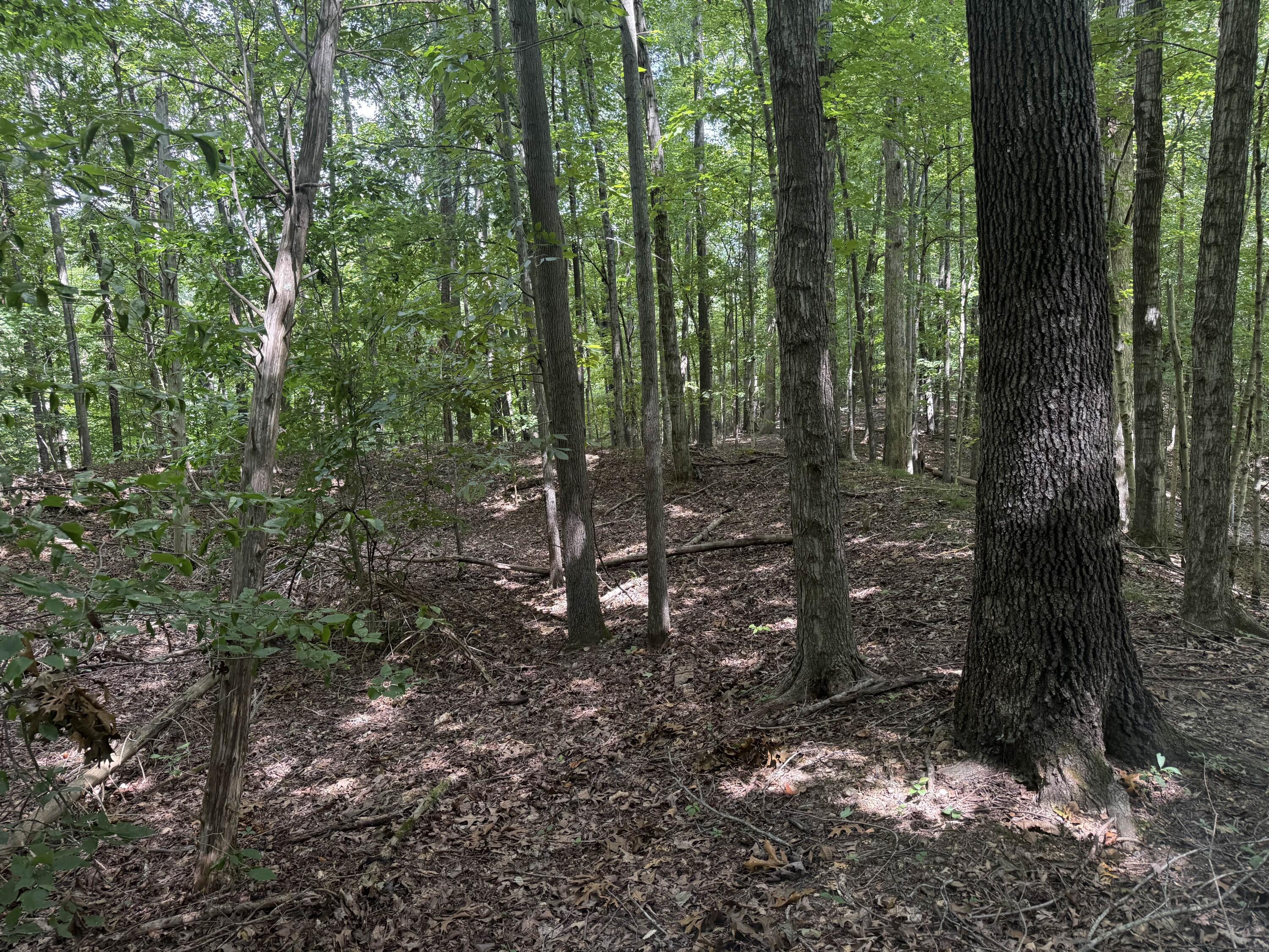 0 Perry Springs Road Property Photo 19