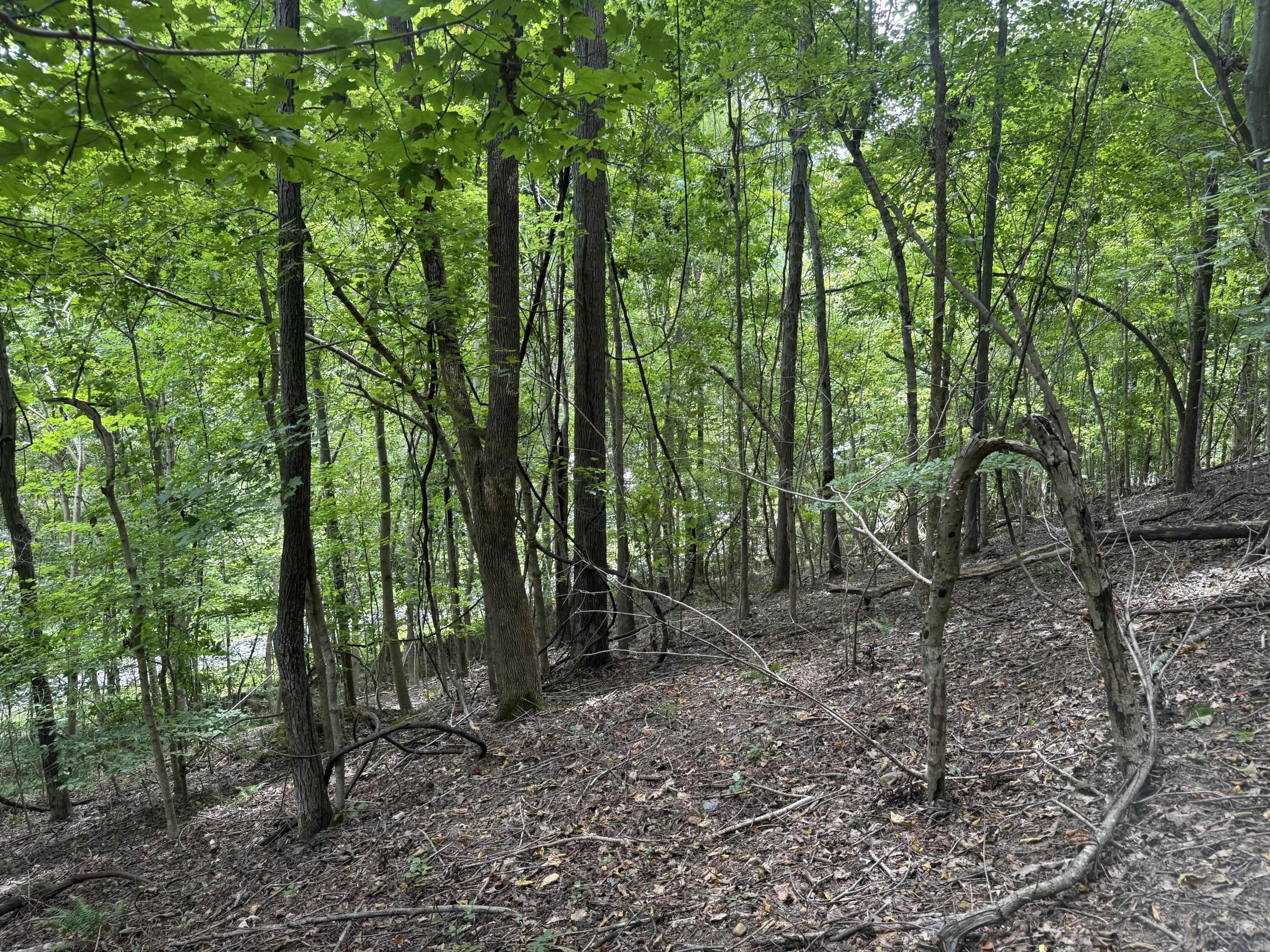 0 Perry Springs Road Property Photo 21