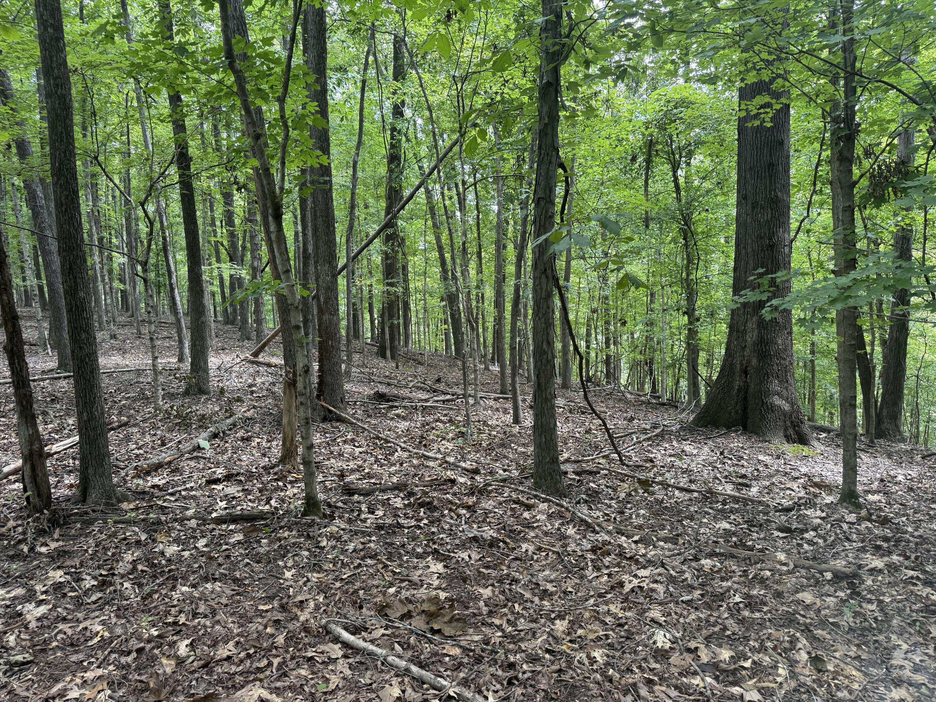 0 Perry Springs Road Property Photo 22