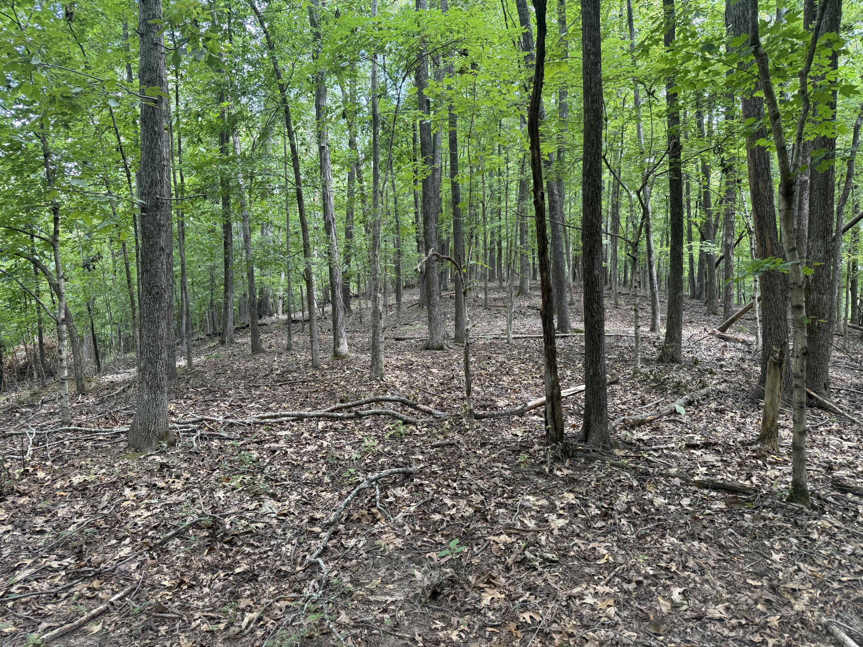 0 Perry Springs Road Property Photo 23