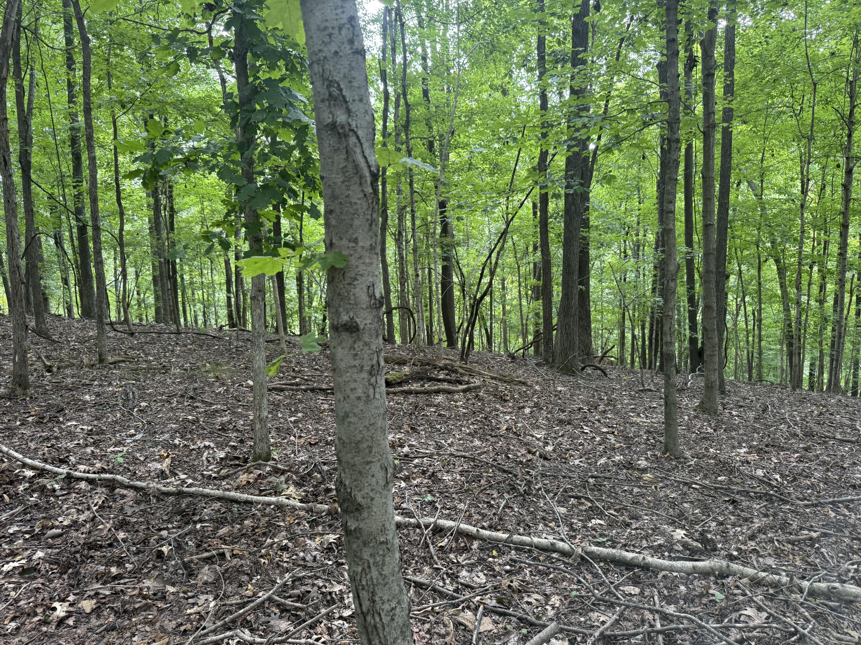 0 Perry Springs Road Property Photo 25