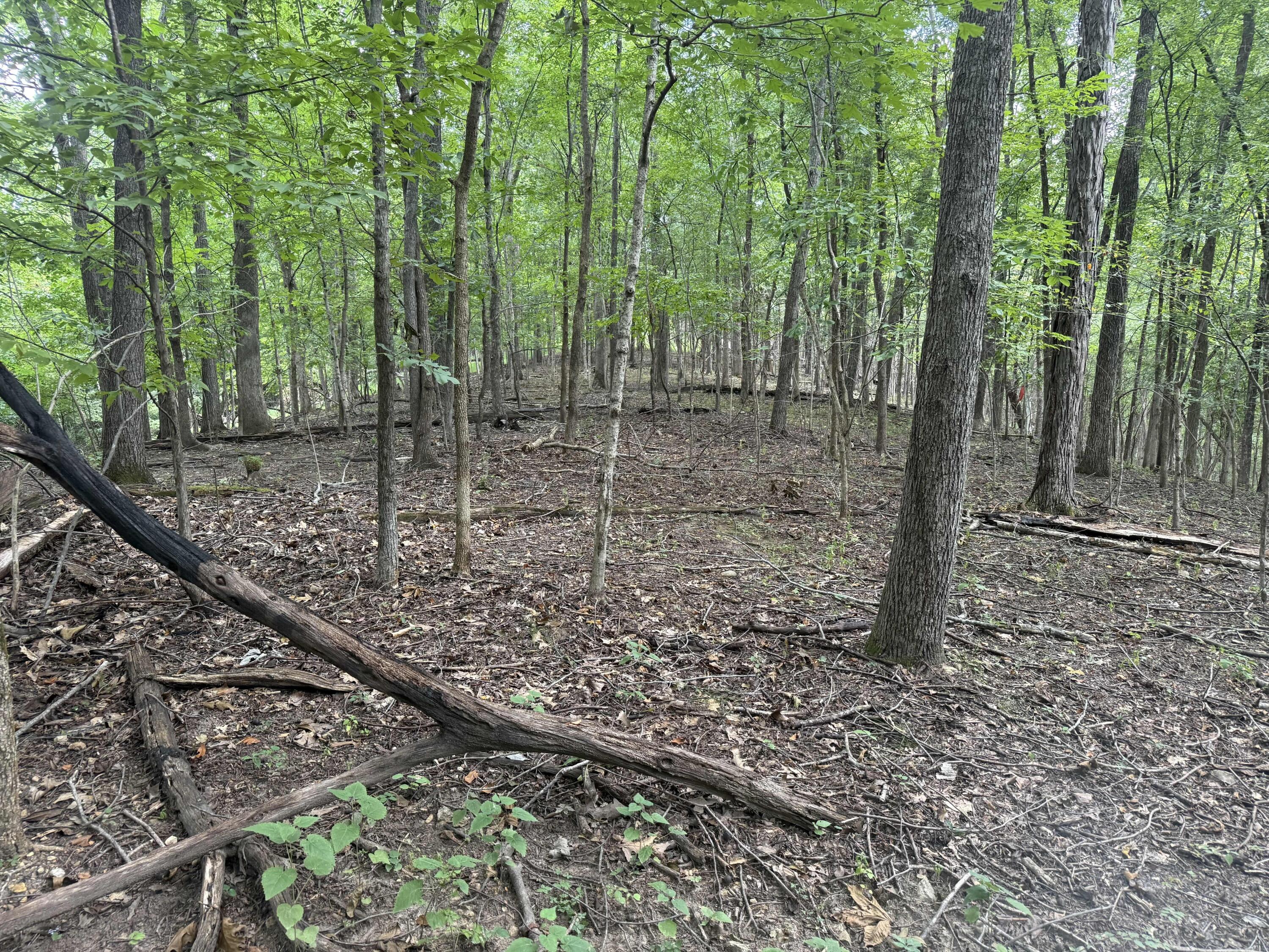 0 Perry Springs Road Property Photo 27