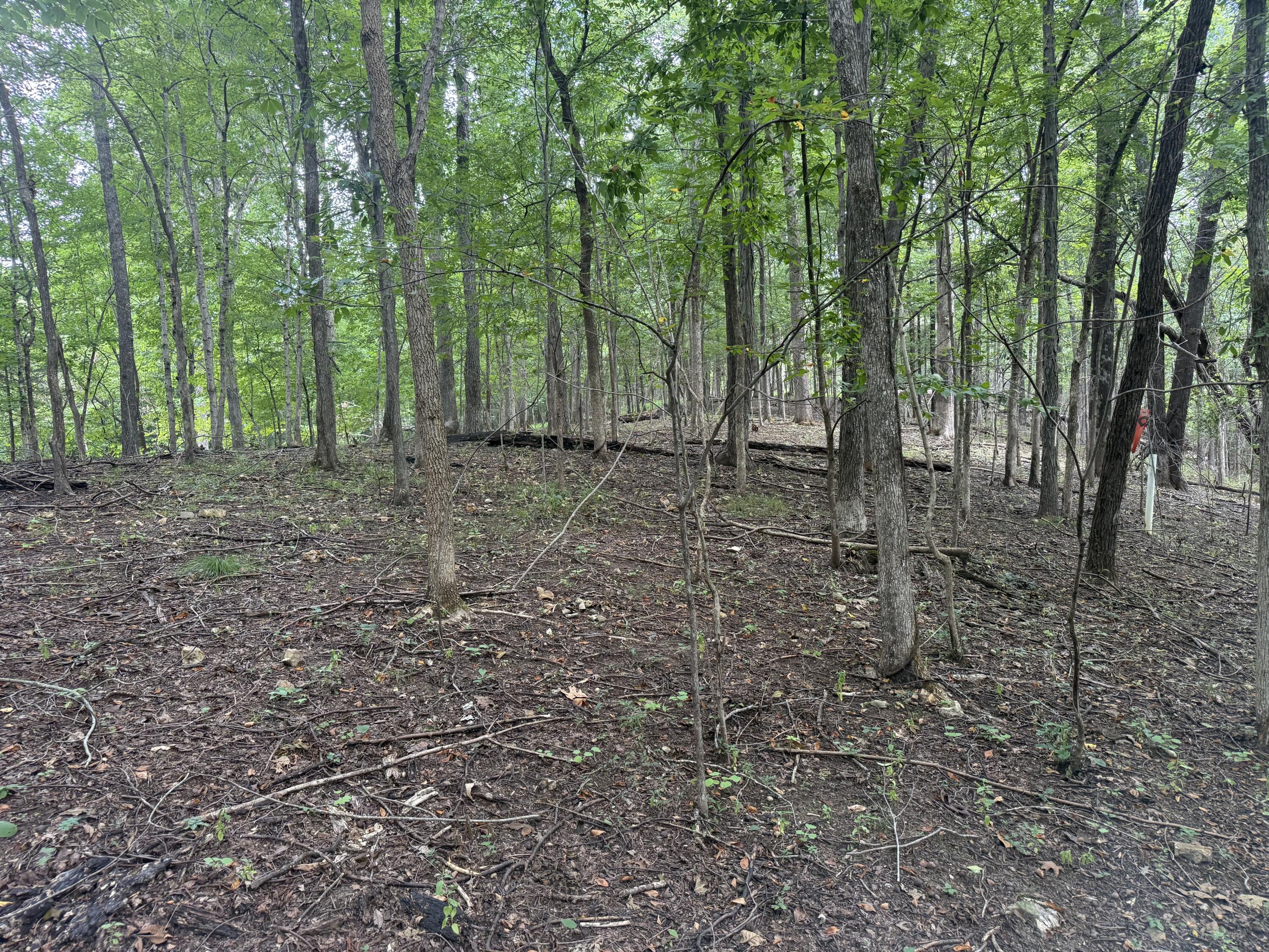 0 Perry Springs Road Property Photo 28