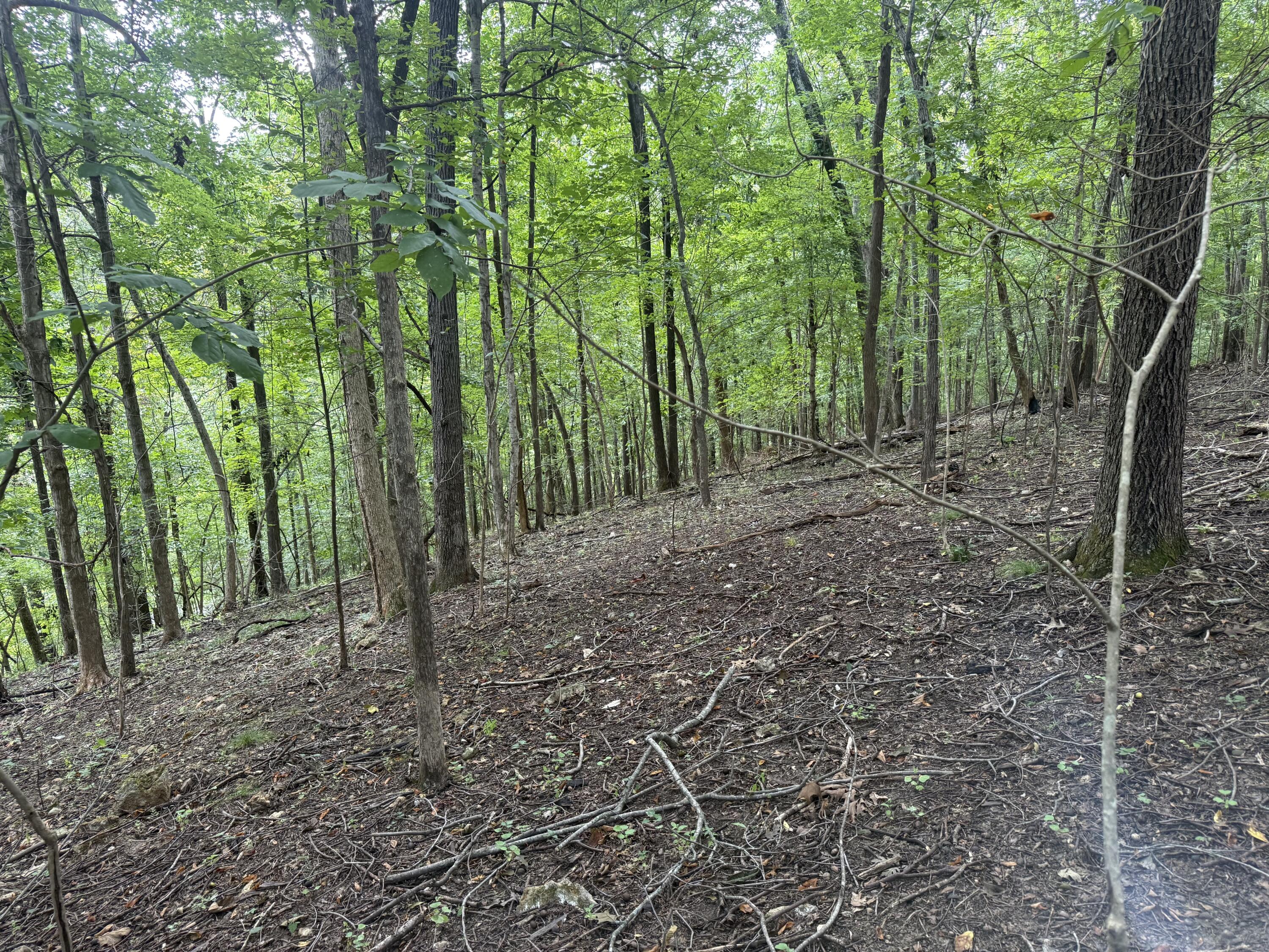 0 Perry Springs Road Property Photo 29