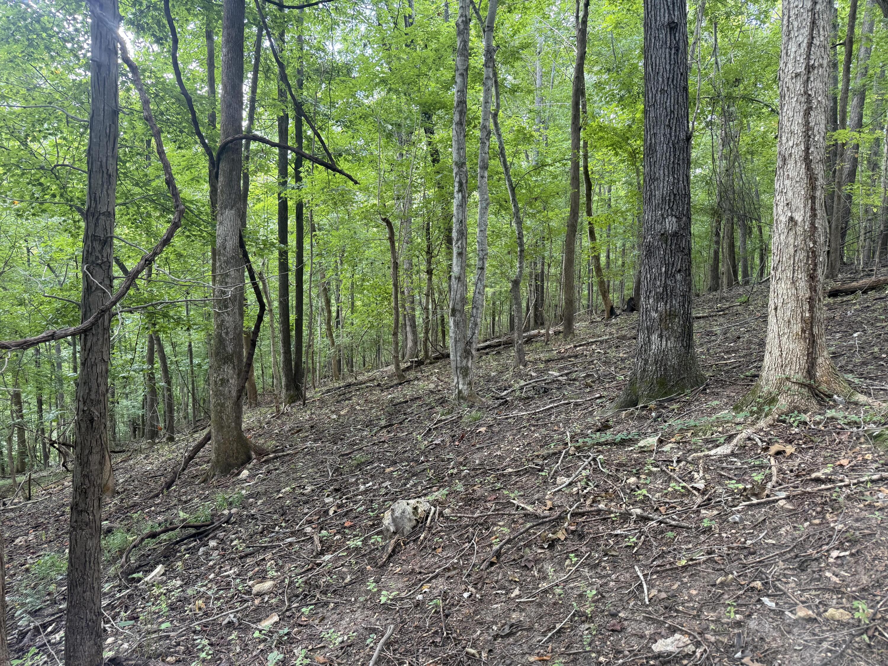 0 Perry Springs Road Property Photo 31