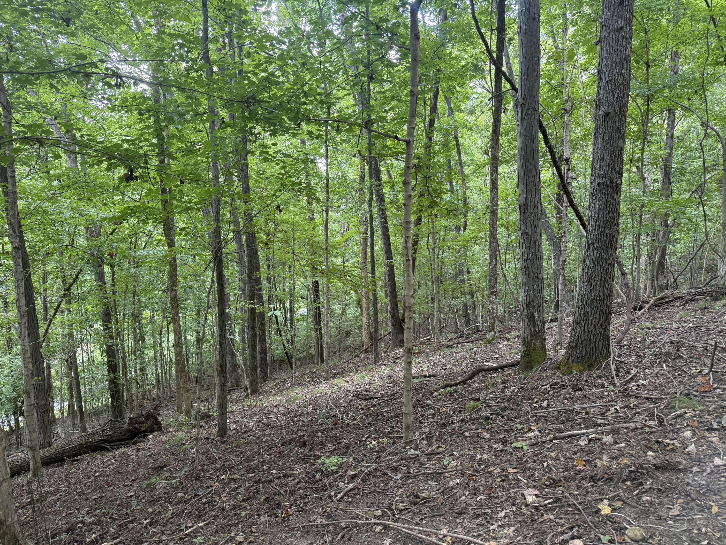 0 Perry Springs Road Property Photo 33