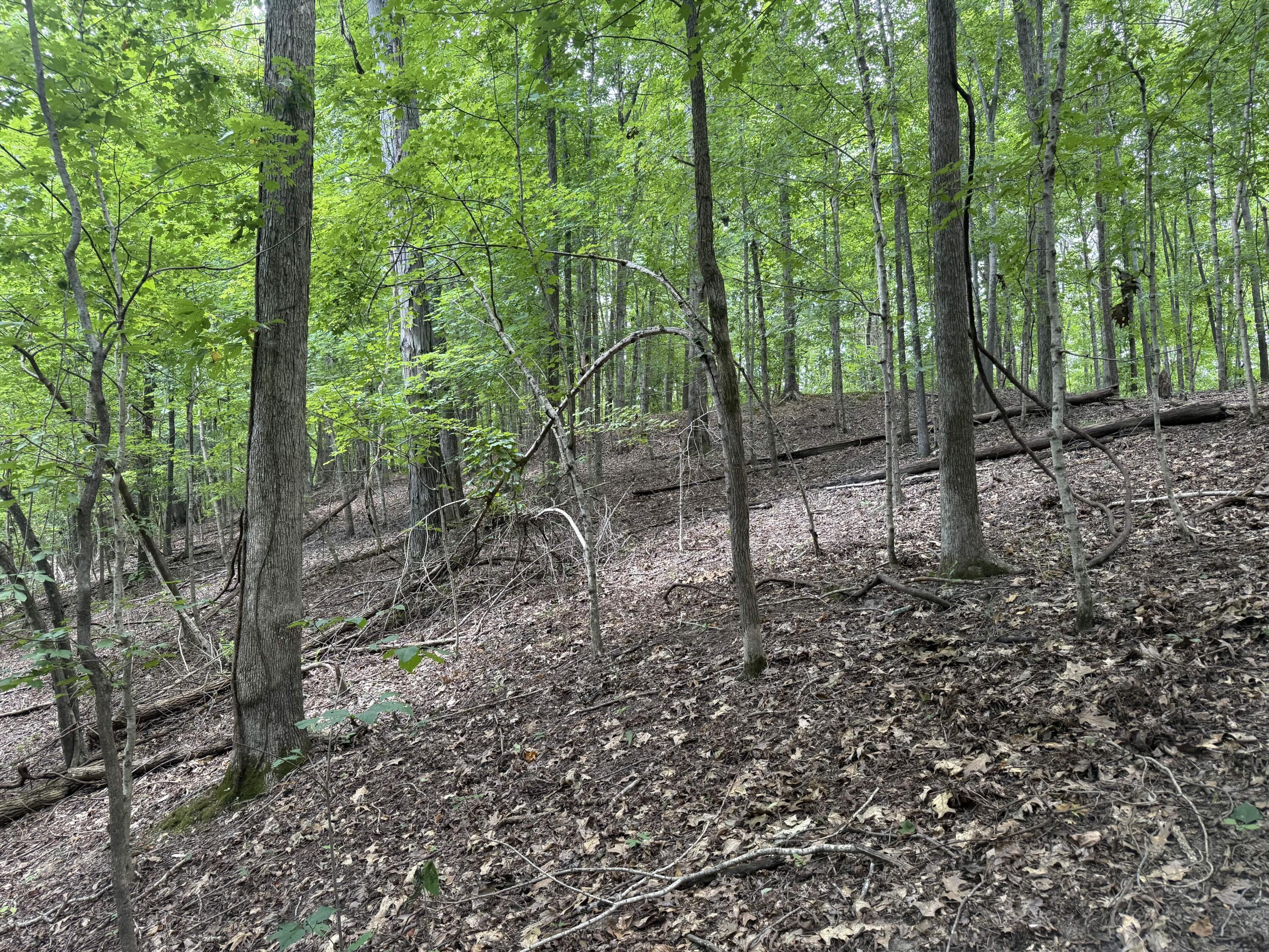 0 Perry Springs Road Property Photo 35