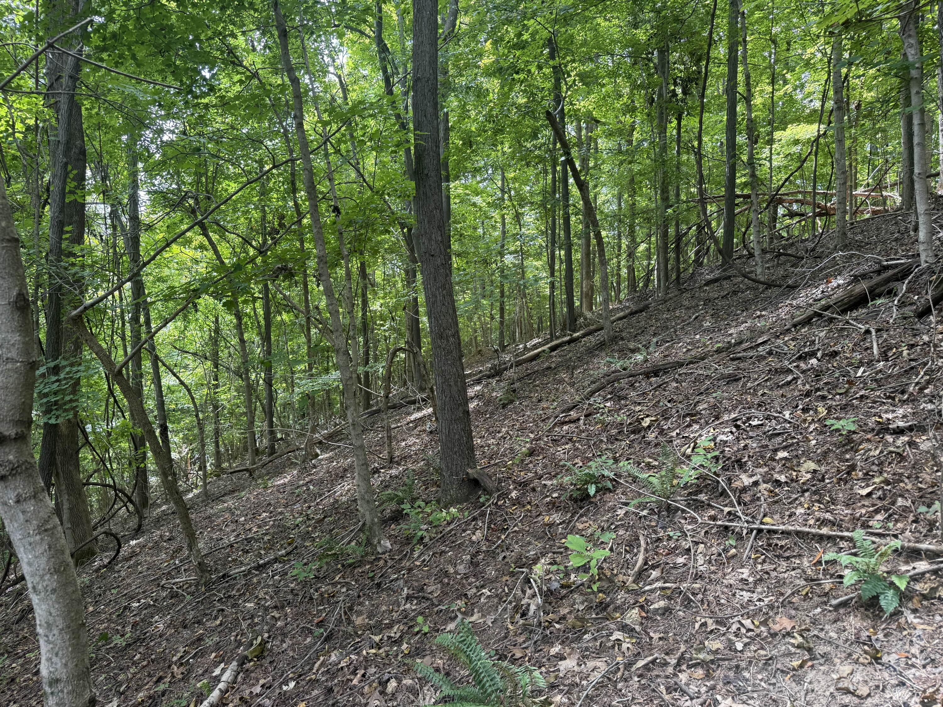 0 Perry Springs Road Property Photo 38