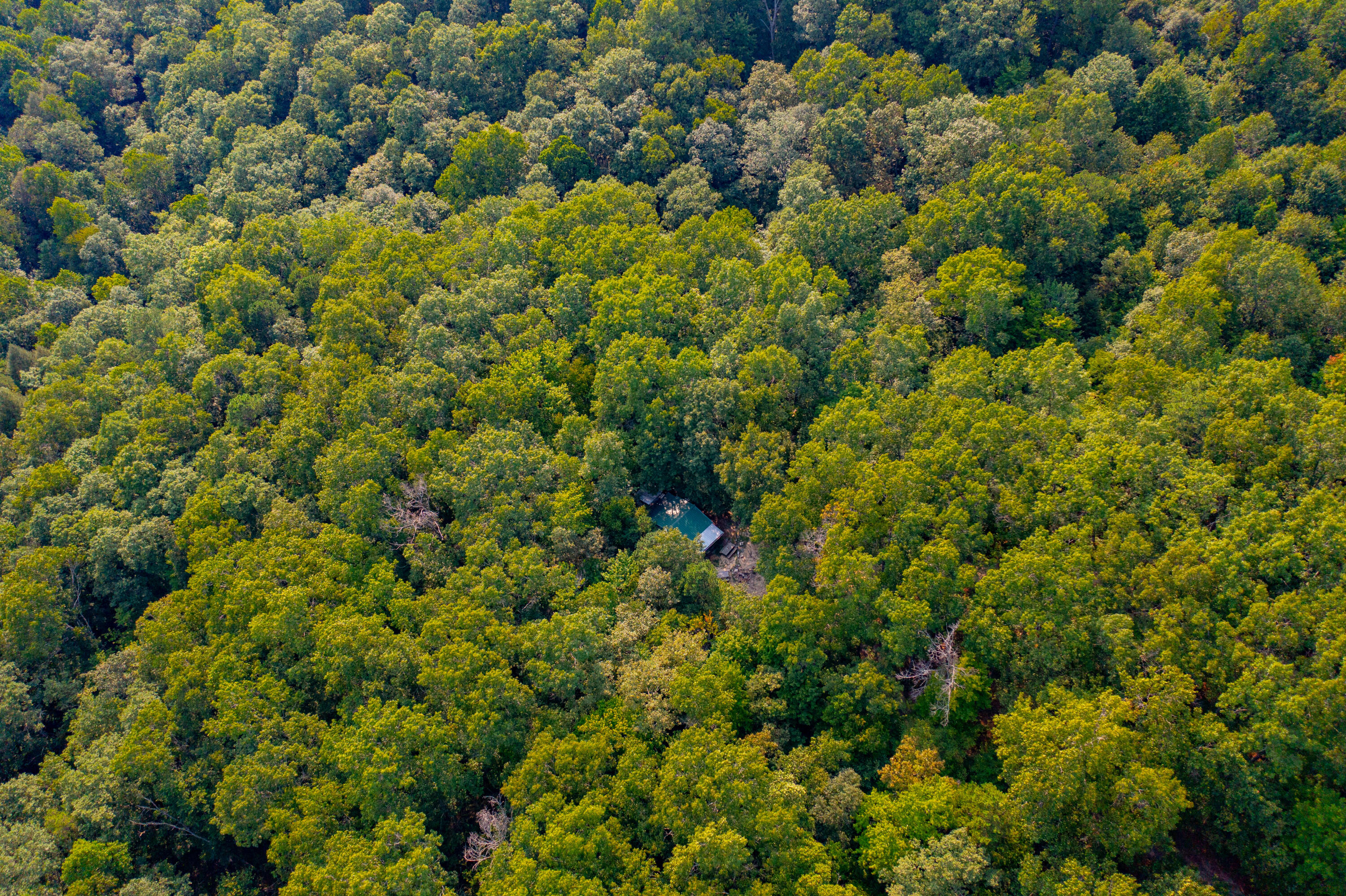 2685 E Hwy 1376 Property Photo 6