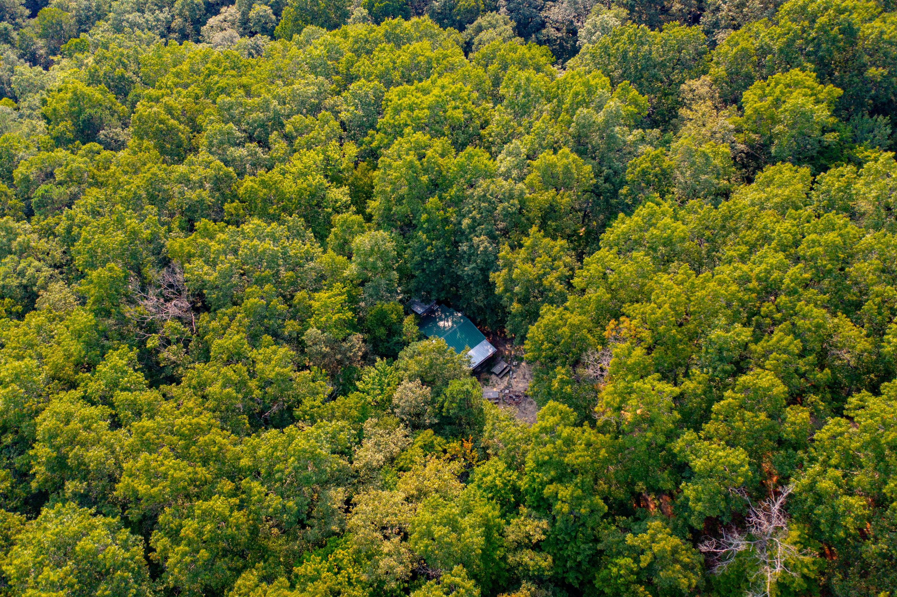 2685 E Hwy 1376 Property Photo 7