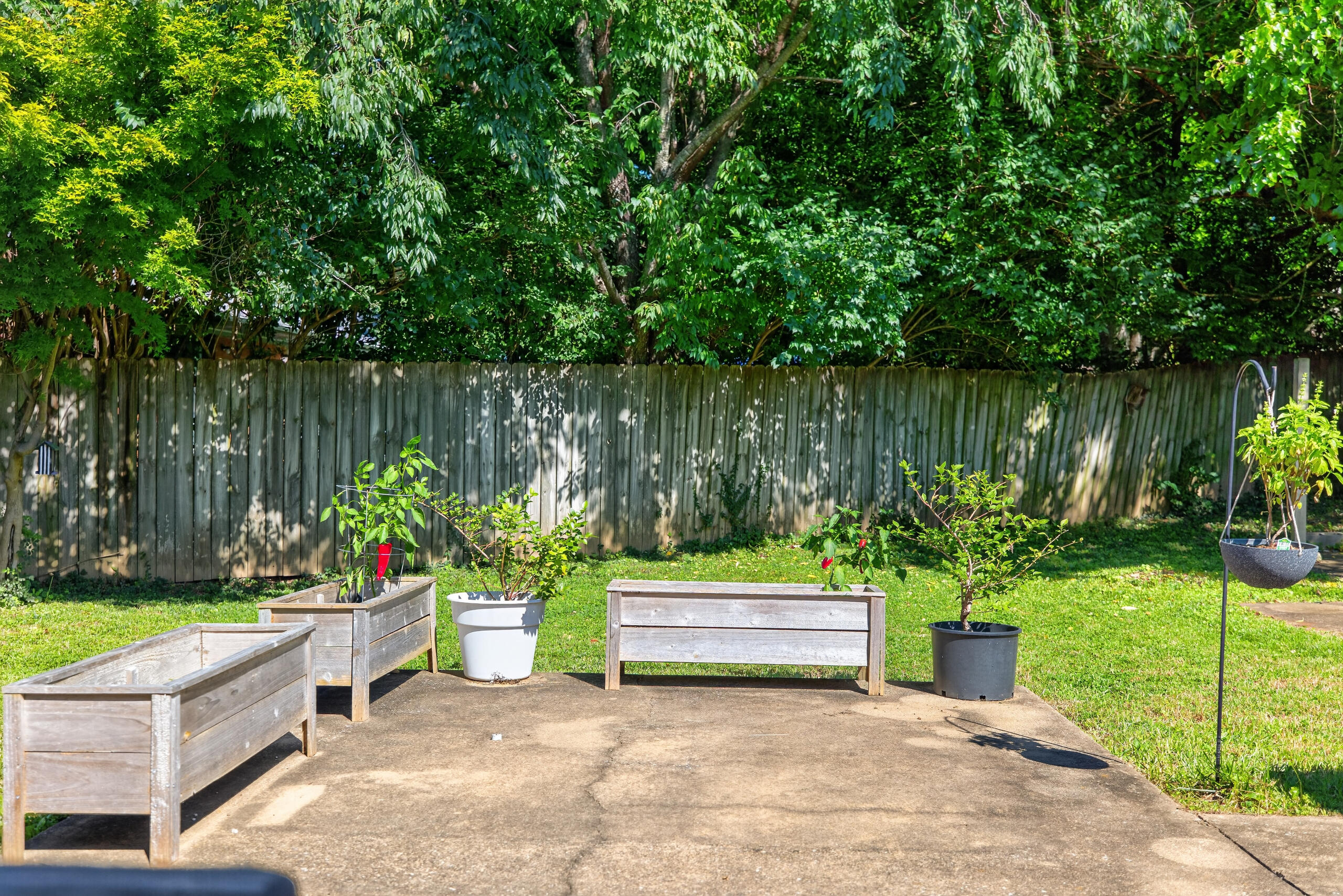 562 Sandalwood Drive Property Photo 23
