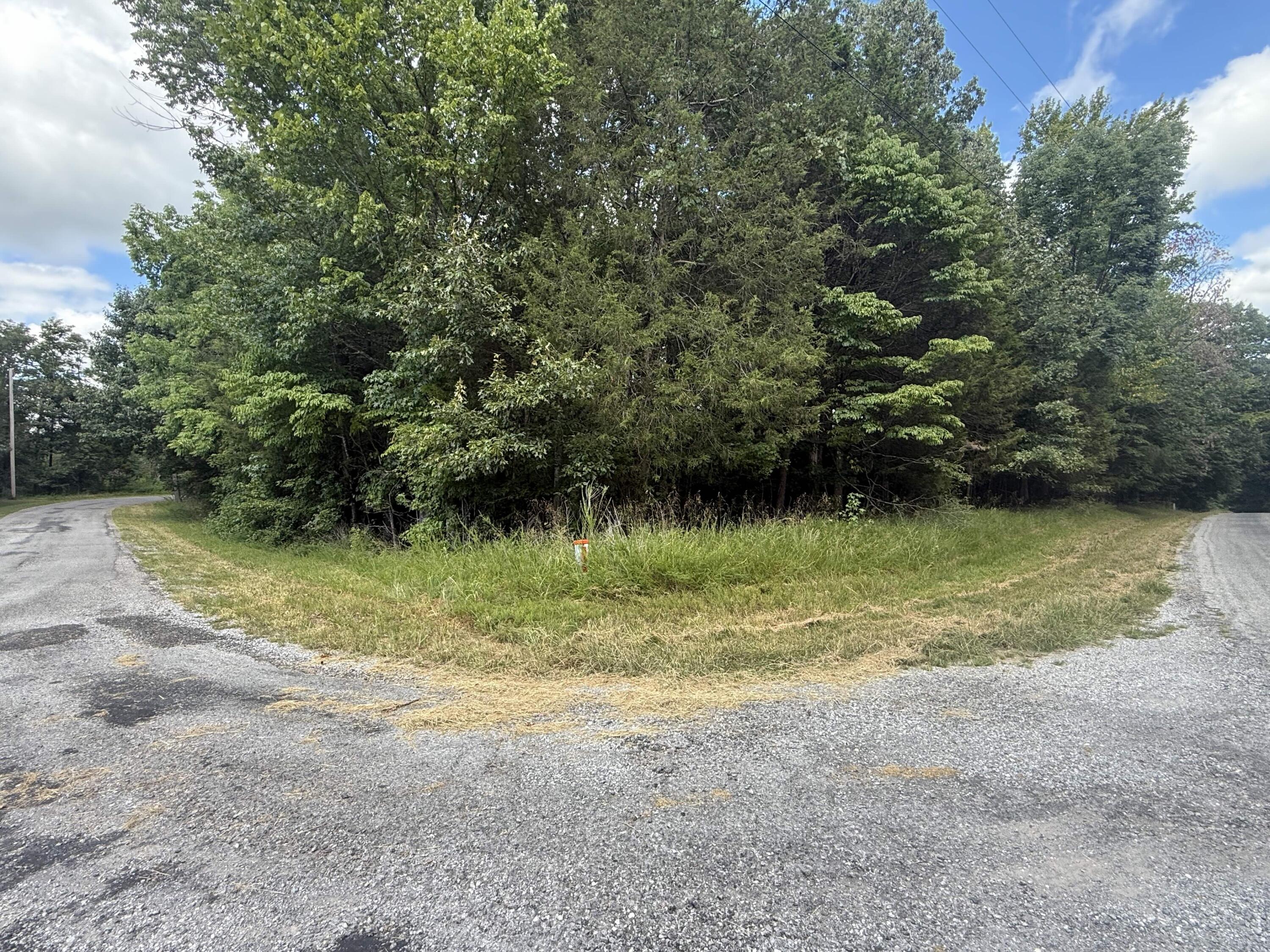 0 Overlook Drive Property Photo 1