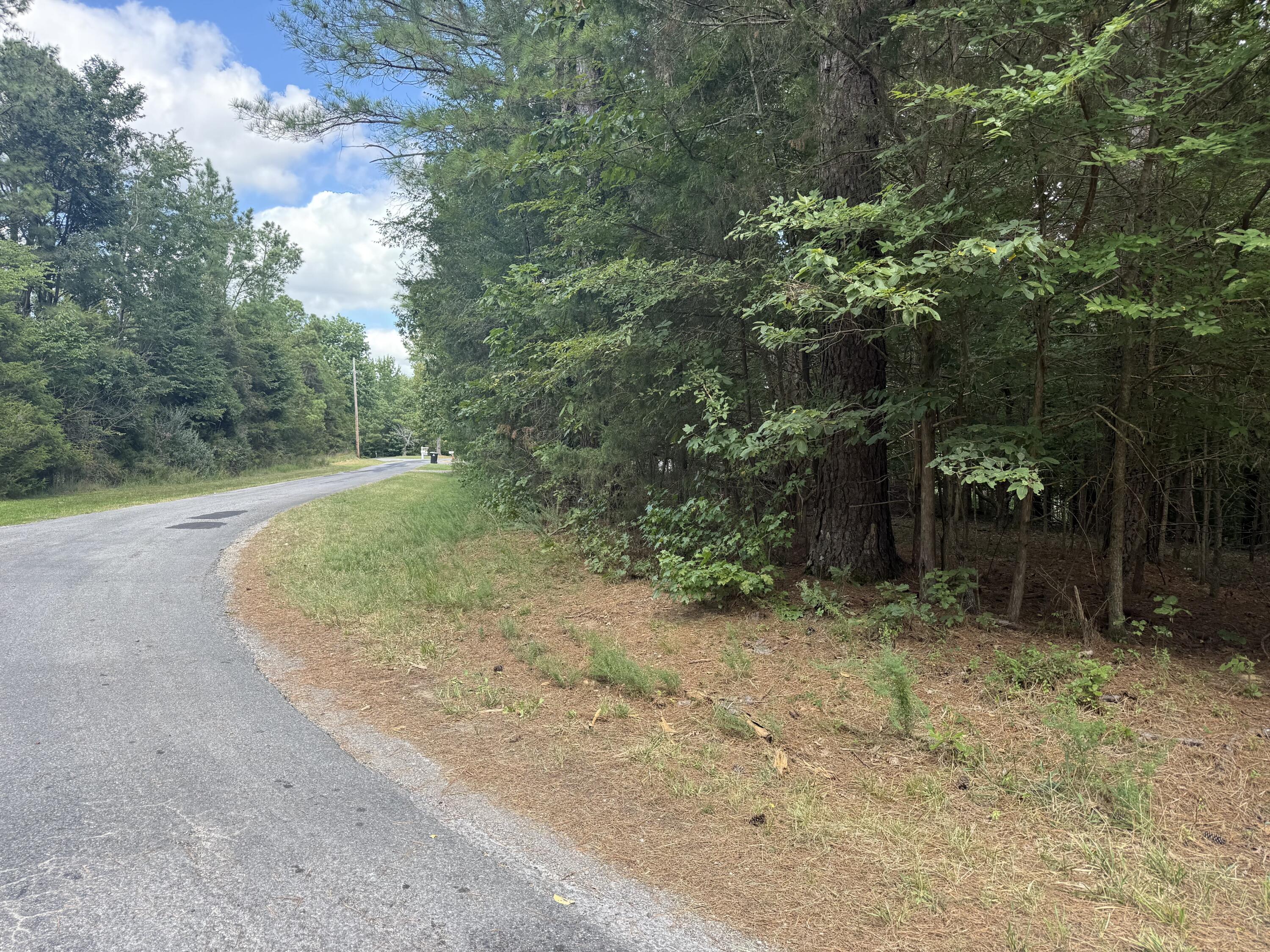 0 Overlook Drive Property Photo 3