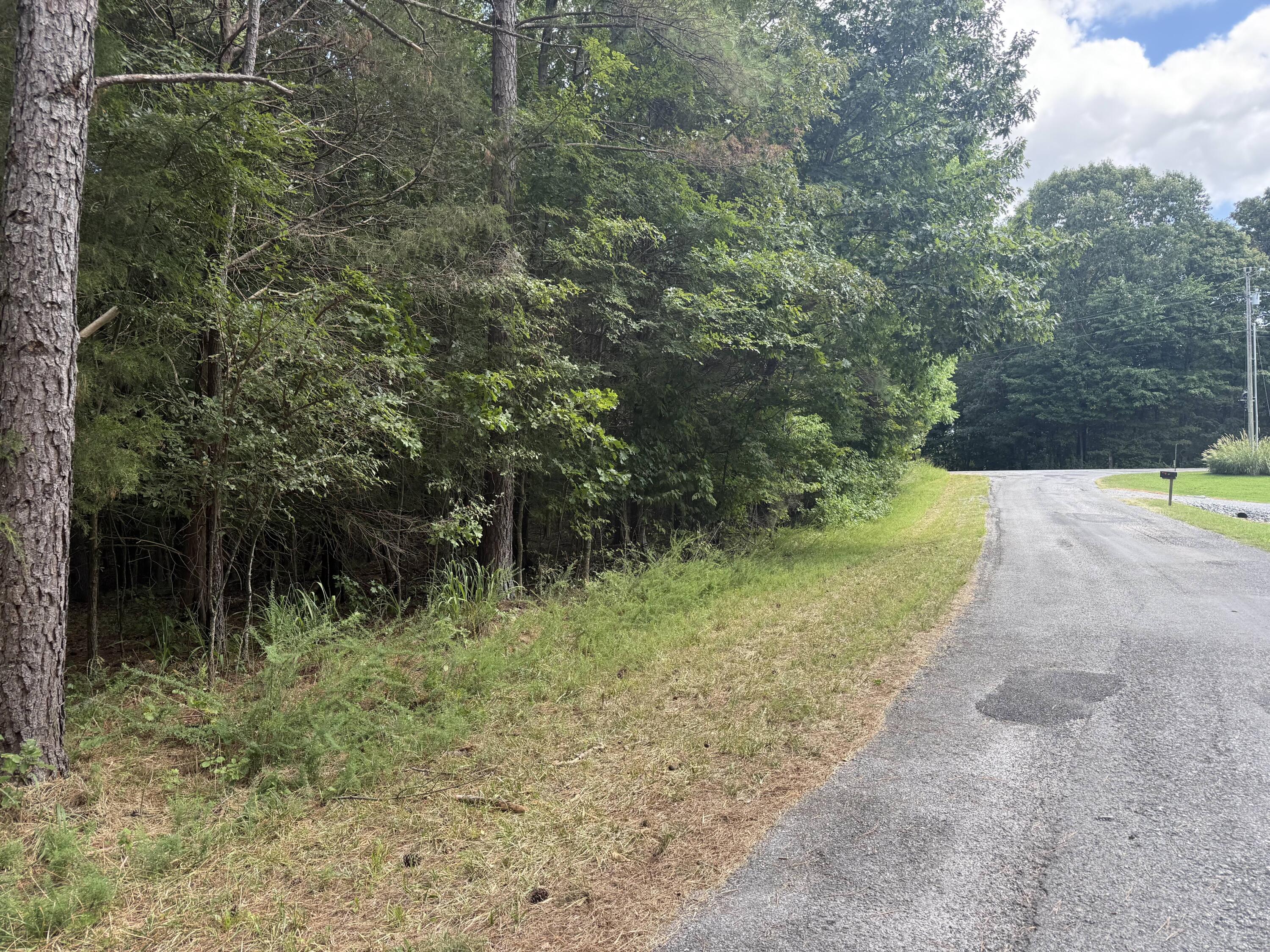0 Overlook Drive Property Photo 6