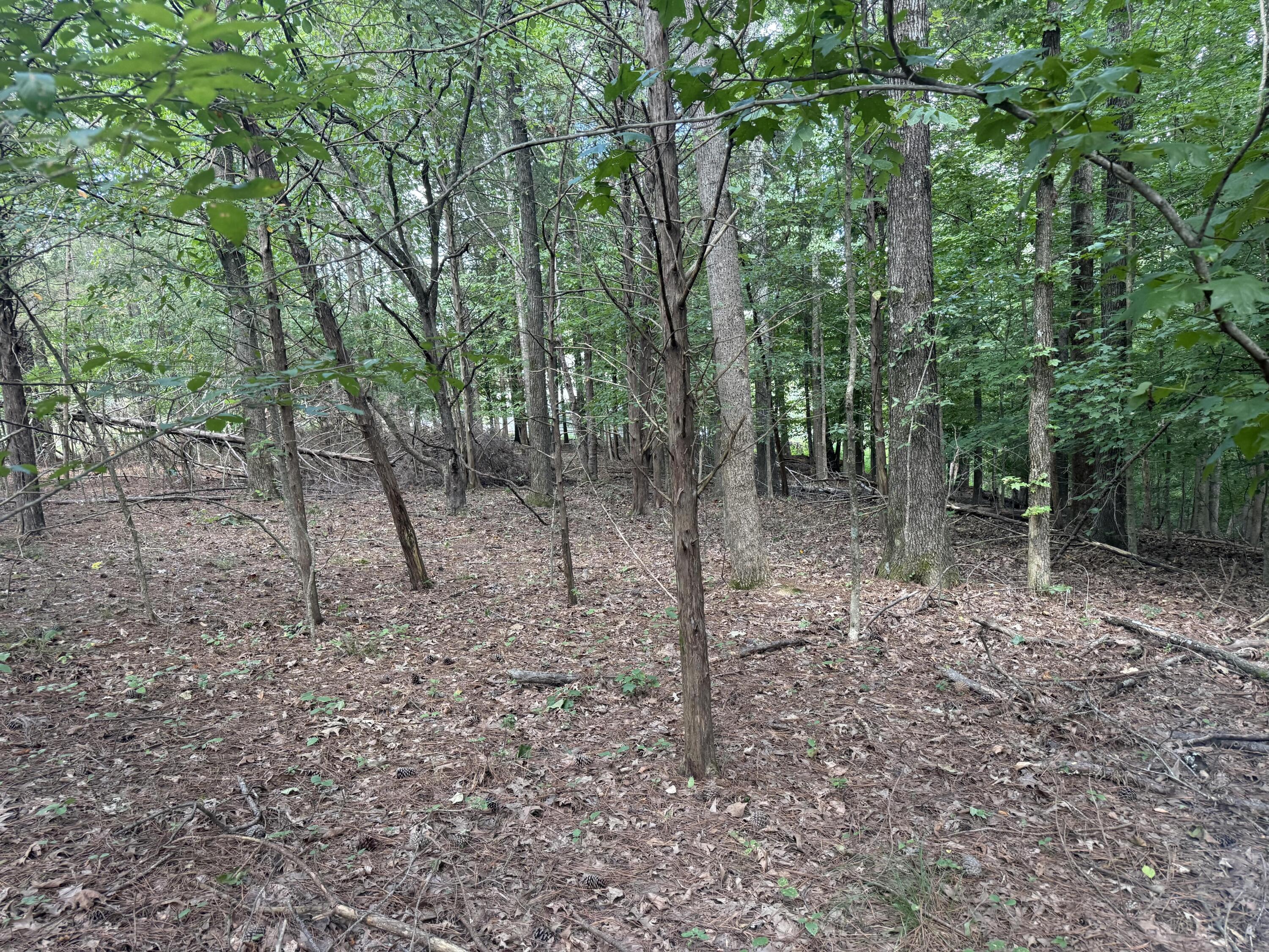 0 Overlook Drive Property Photo 8