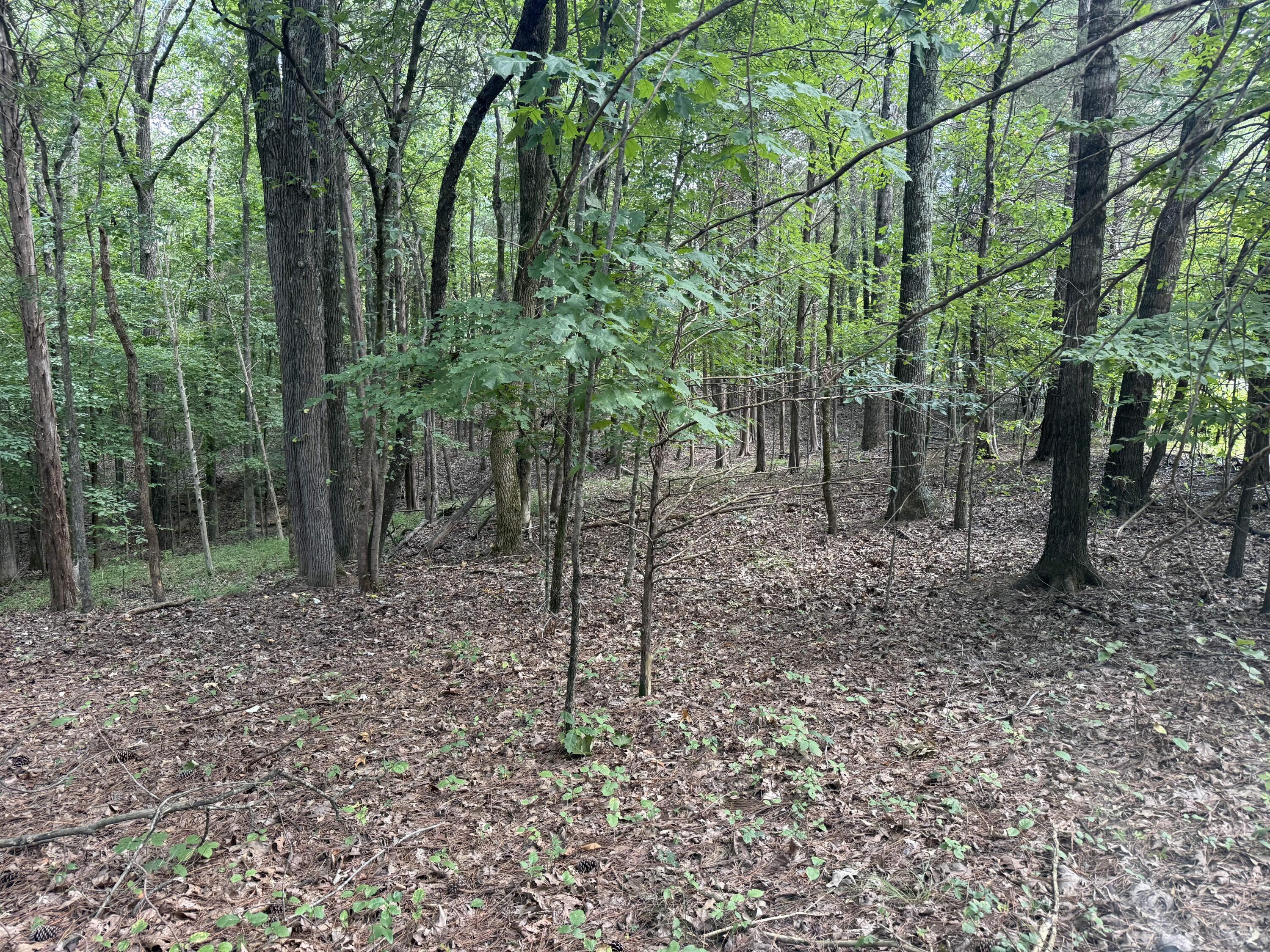 0 Overlook Drive Property Photo 9