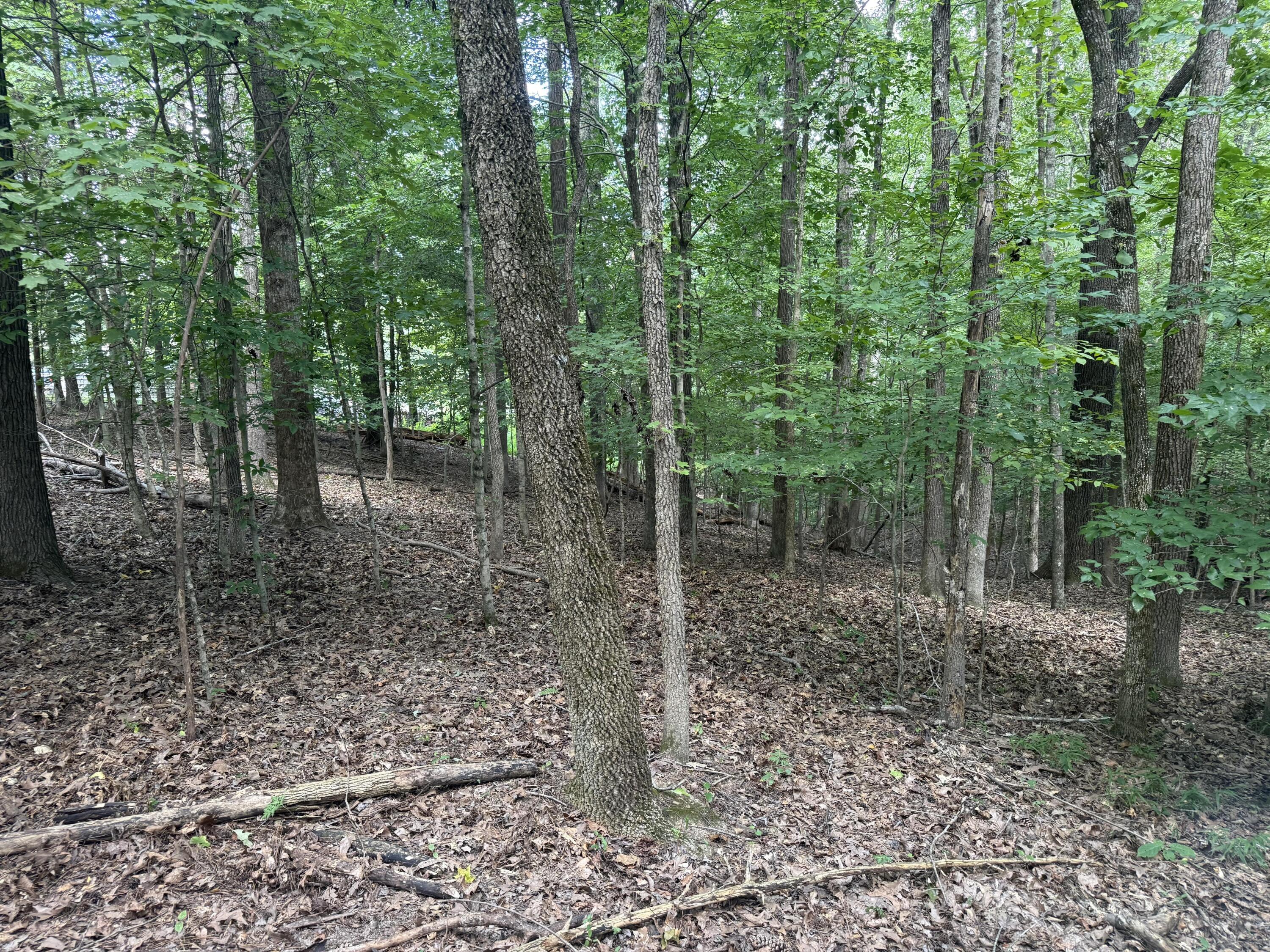 0 Overlook Drive Property Photo 10