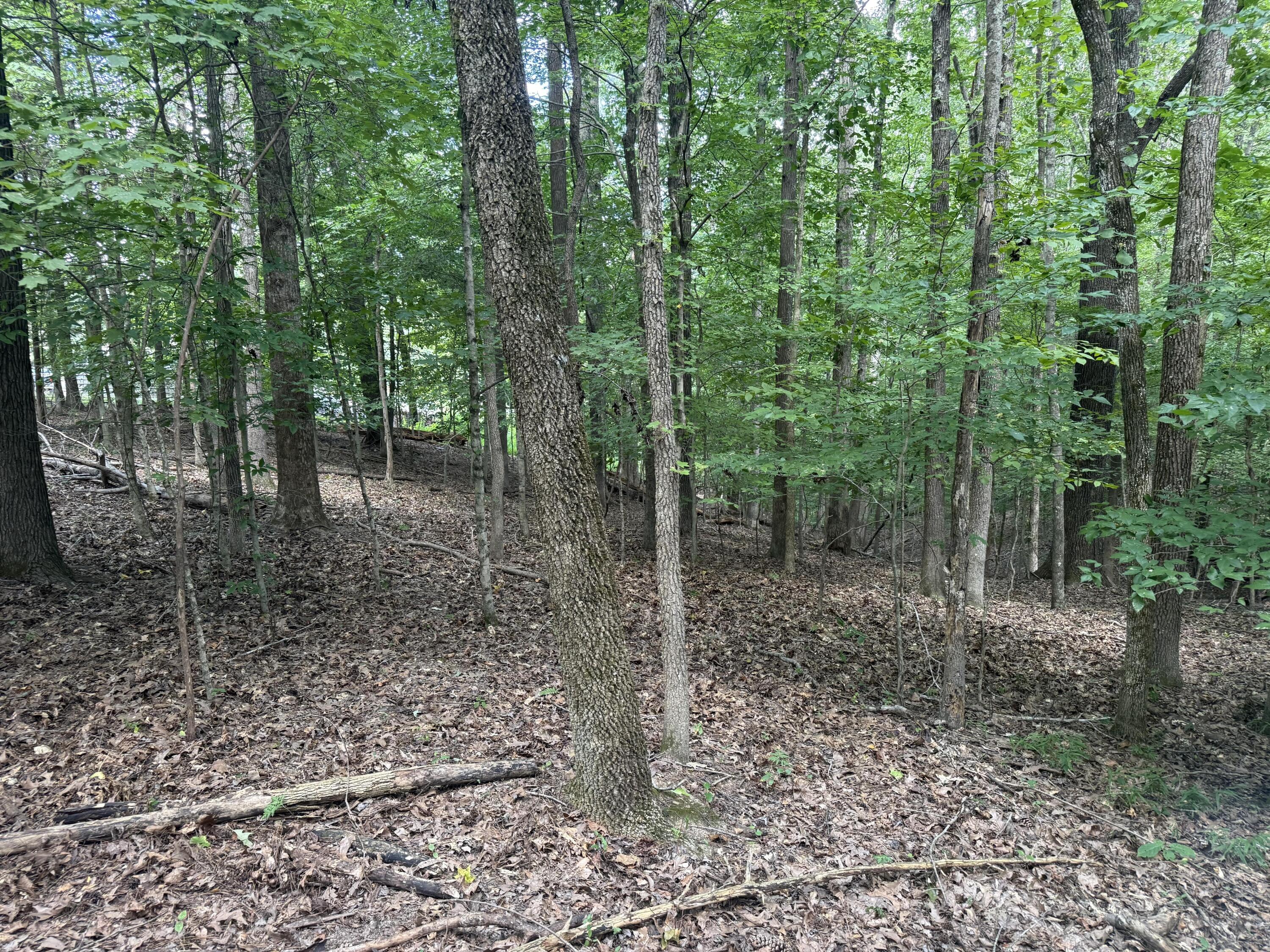0 Overlook Drive Property Photo 11