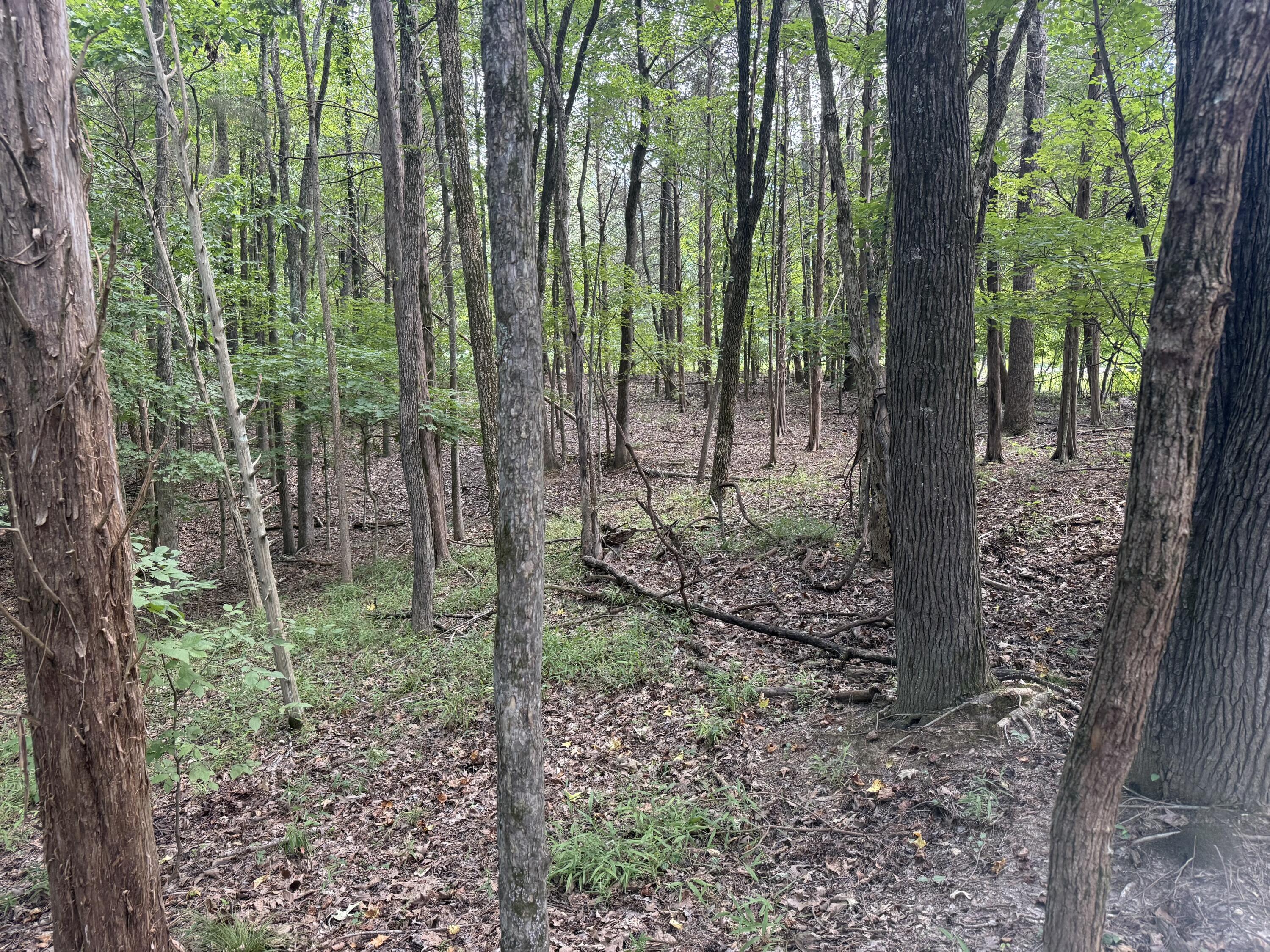 0 Overlook Drive Property Photo 12