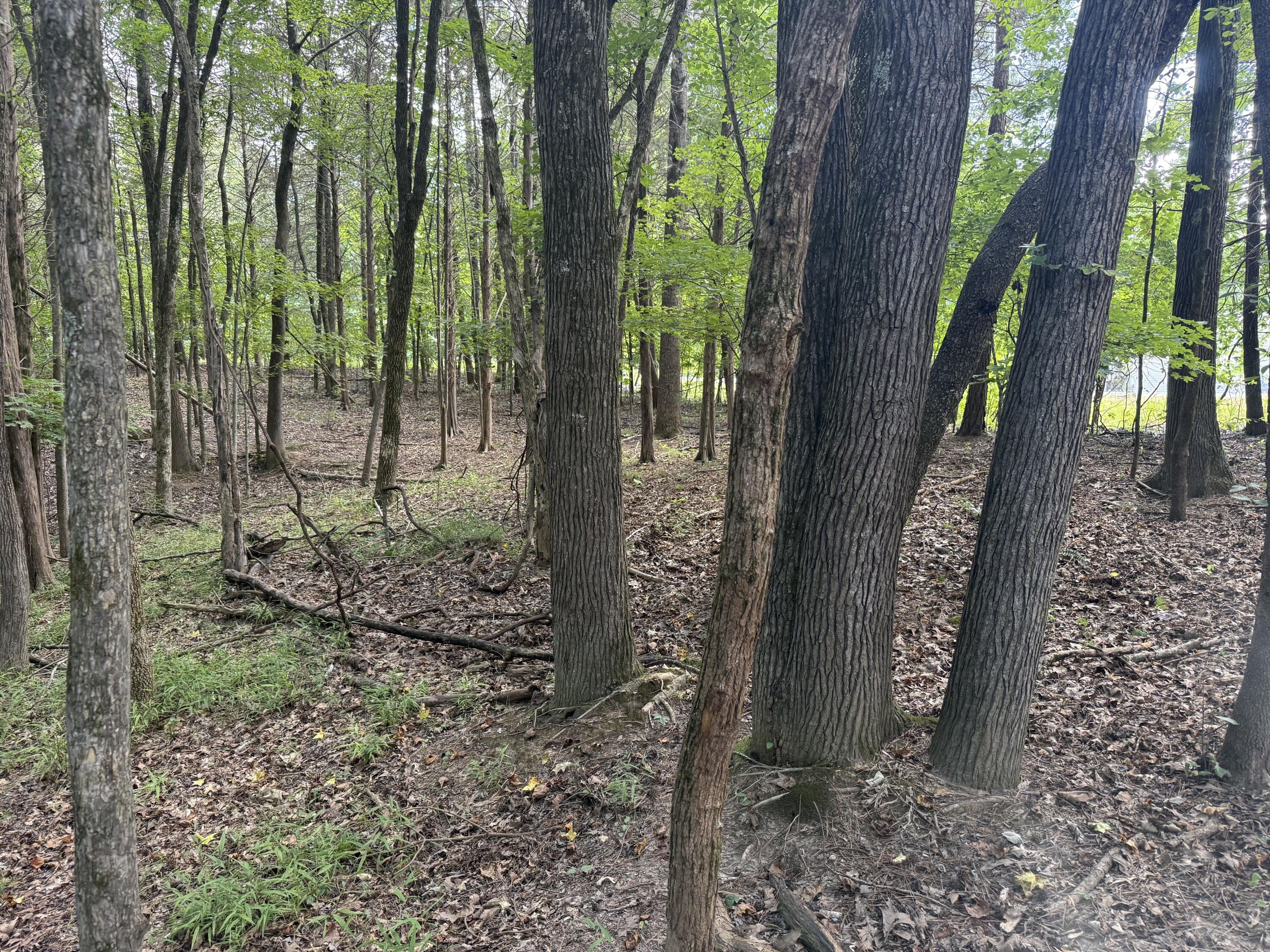 0 Overlook Drive Property Photo 13