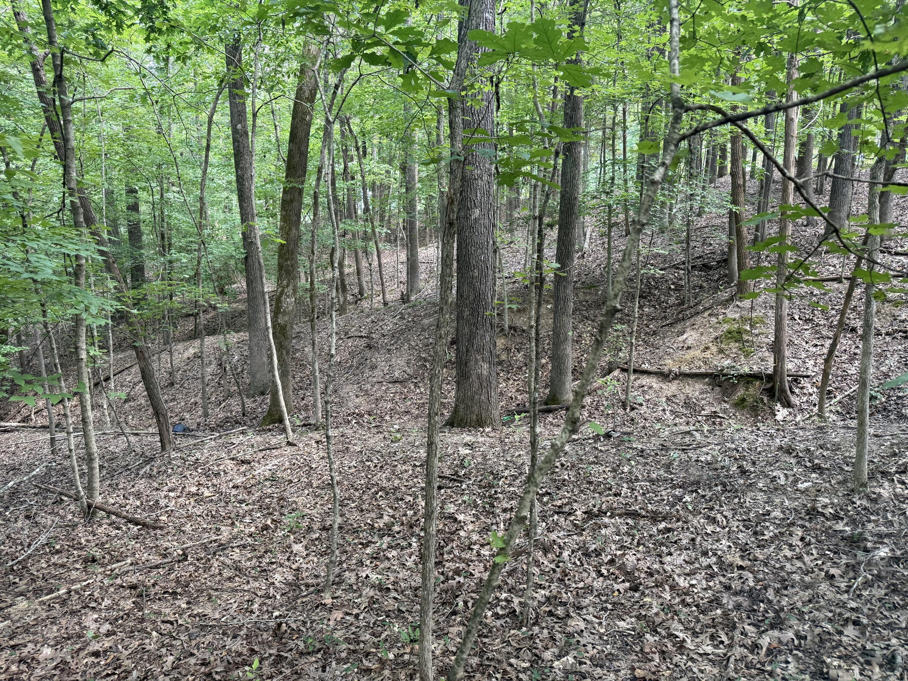 0 Overlook Drive Property Photo 14