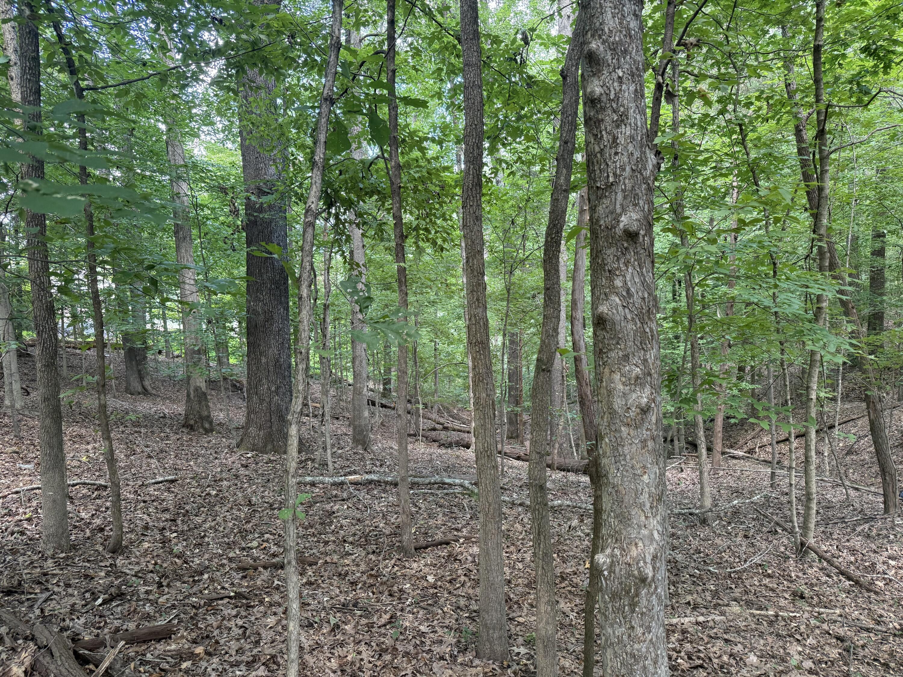 0 Overlook Drive Property Photo 15