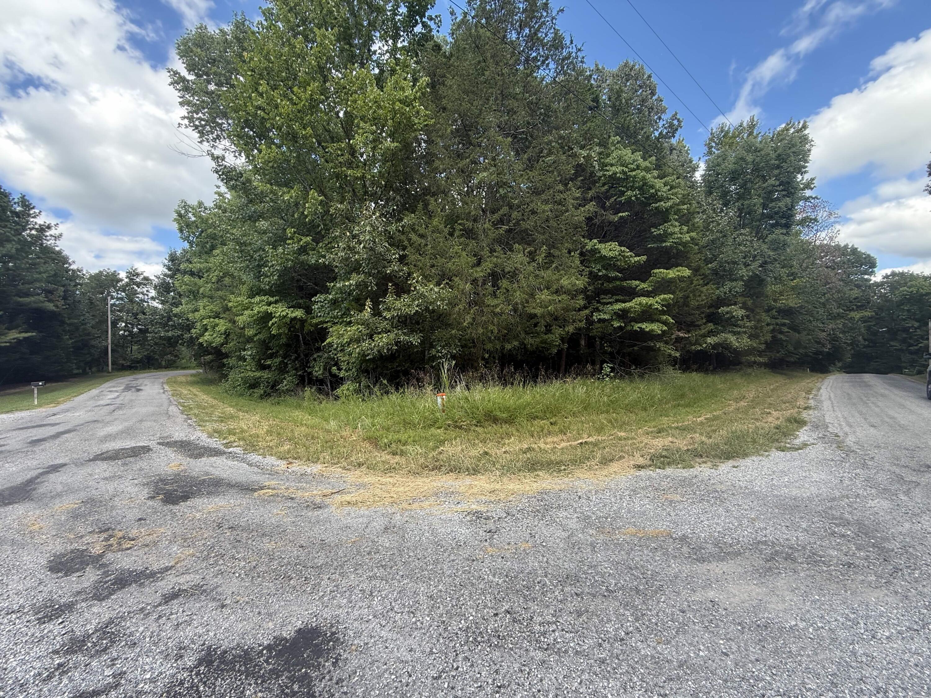 0 Overlook Drive Property Photo 17