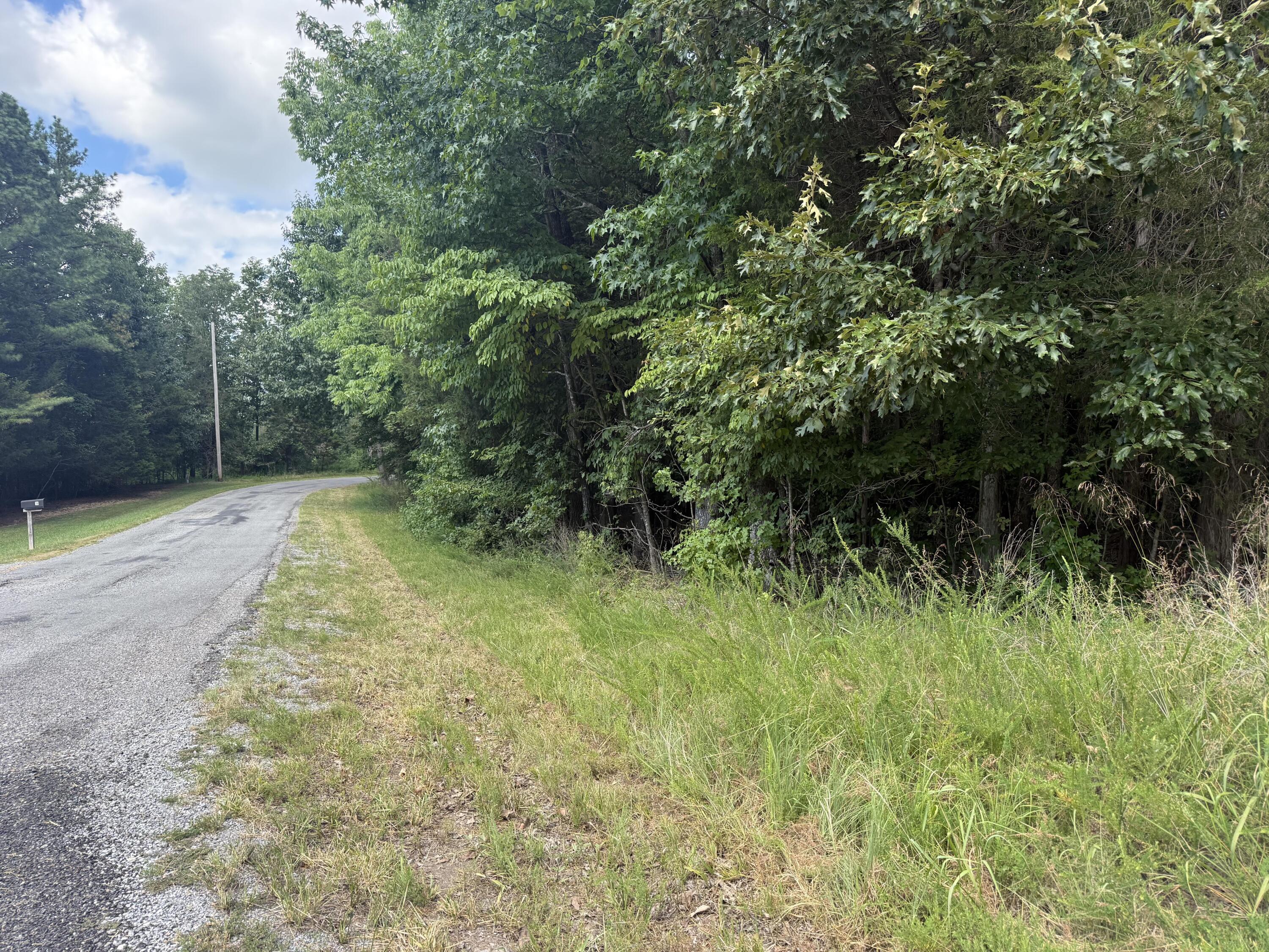0 Overlook Drive Property Photo 18