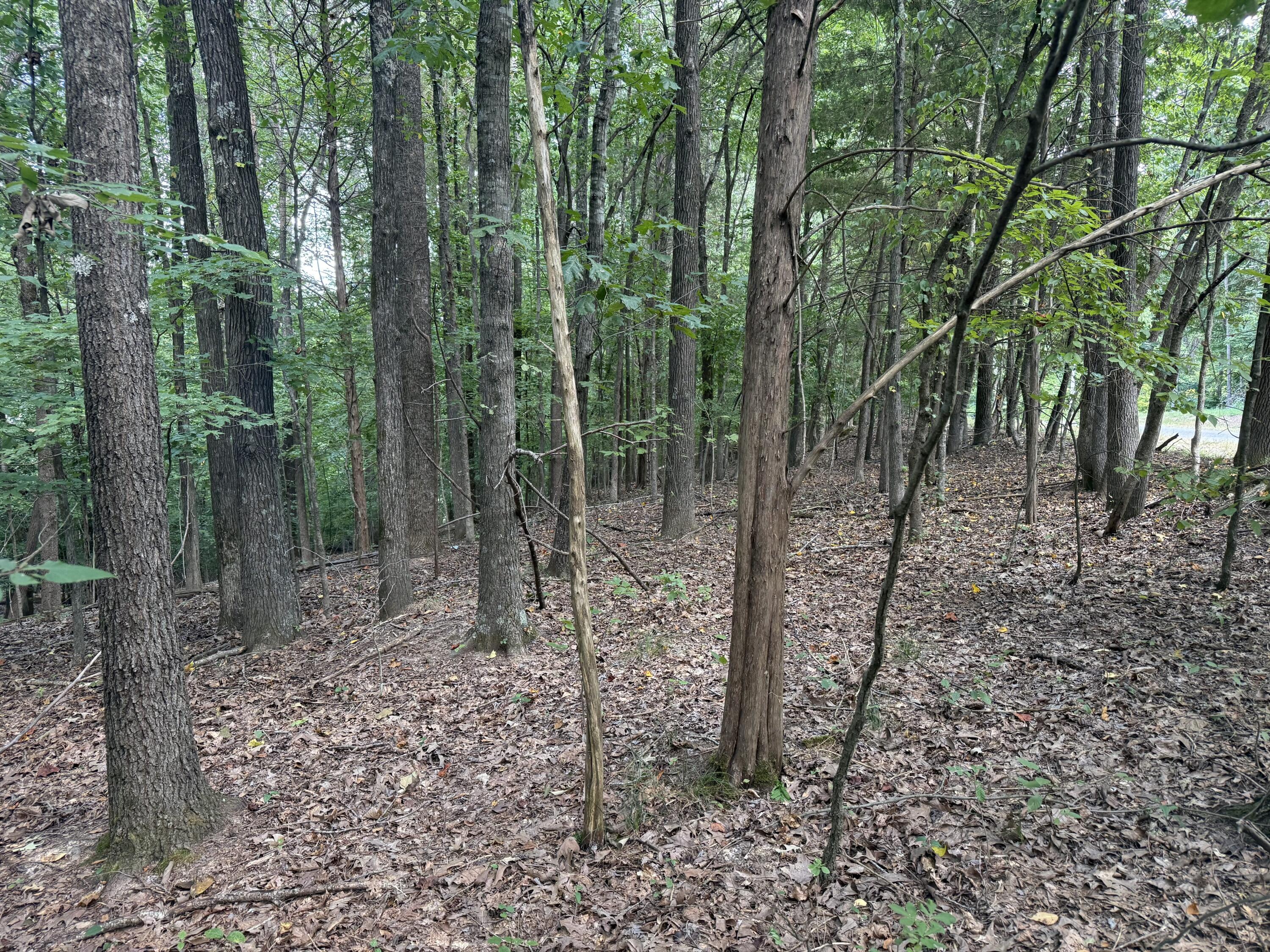 0 Overlook Drive Property Photo 20