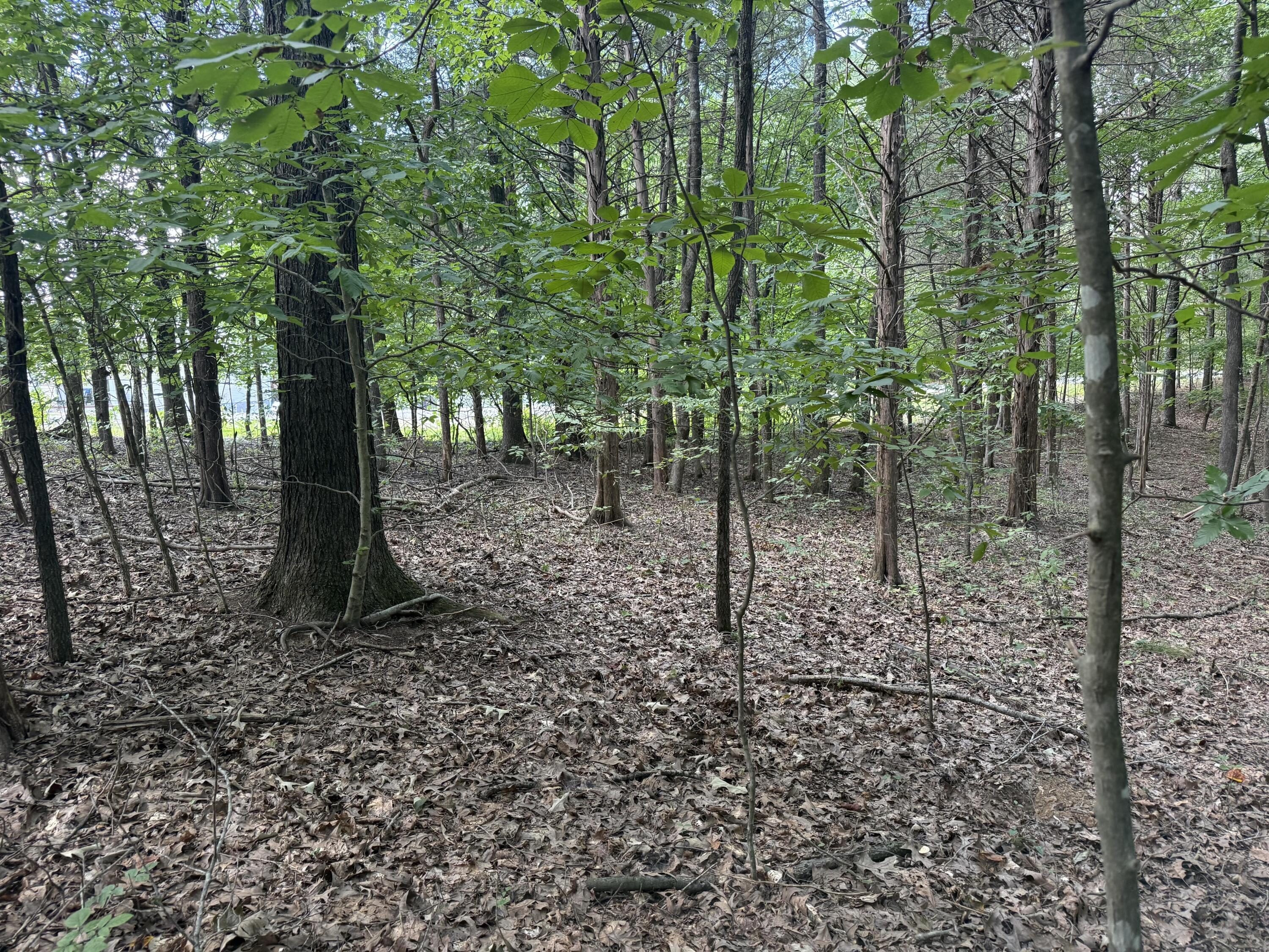 0 Overlook Drive Property Photo 21