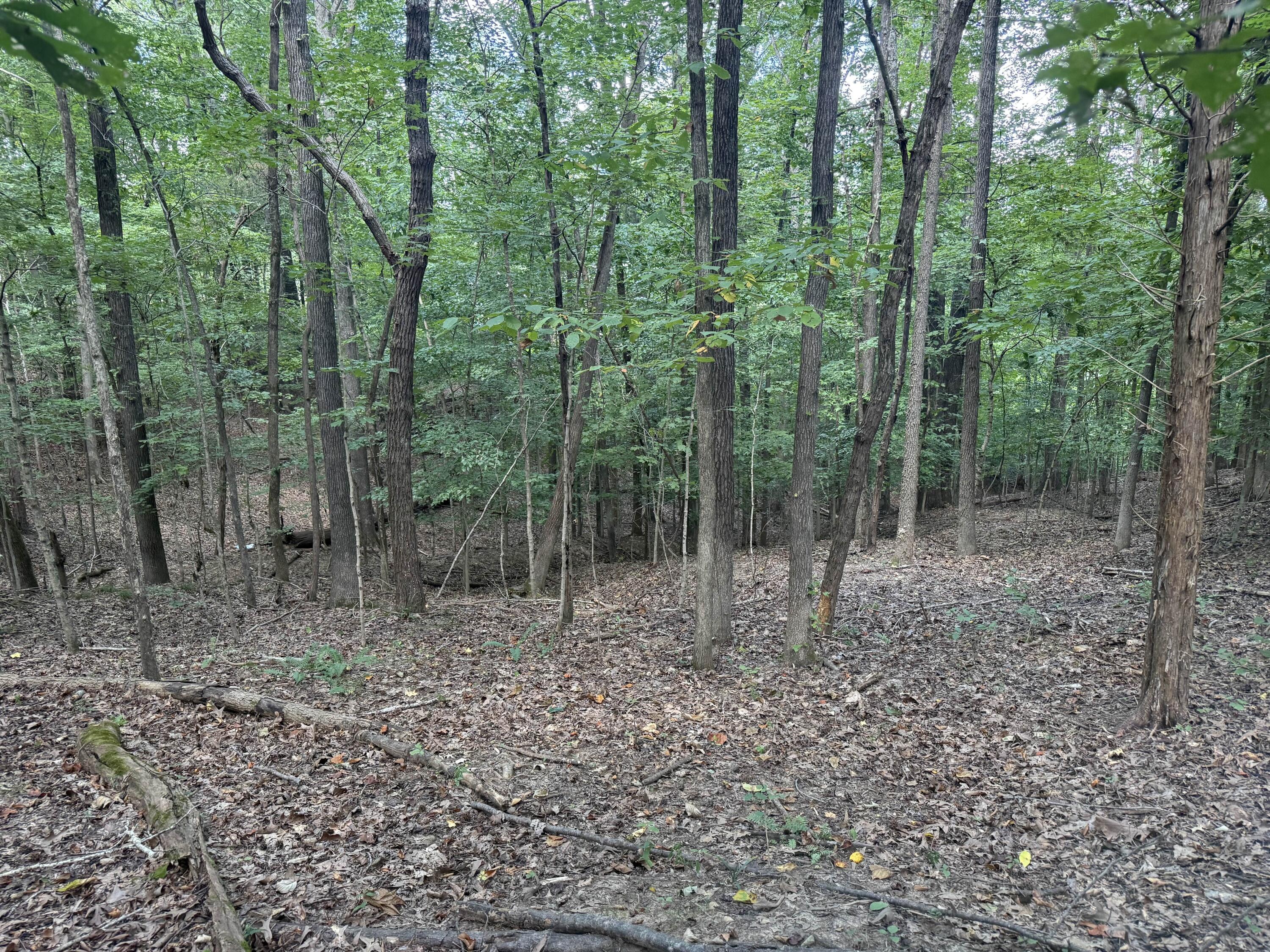 0 Overlook Drive Property Photo 22