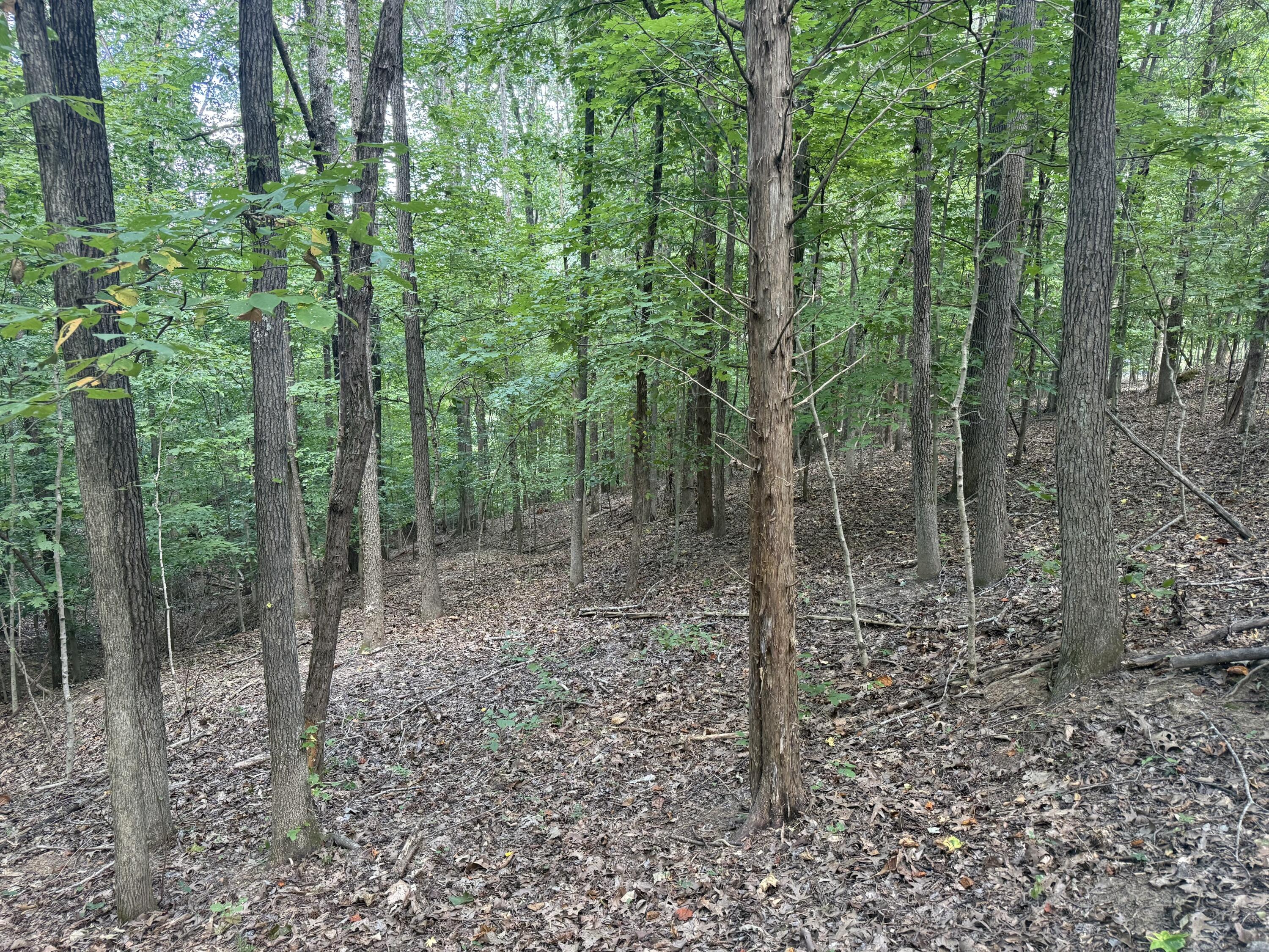 0 Overlook Drive Property Photo 23