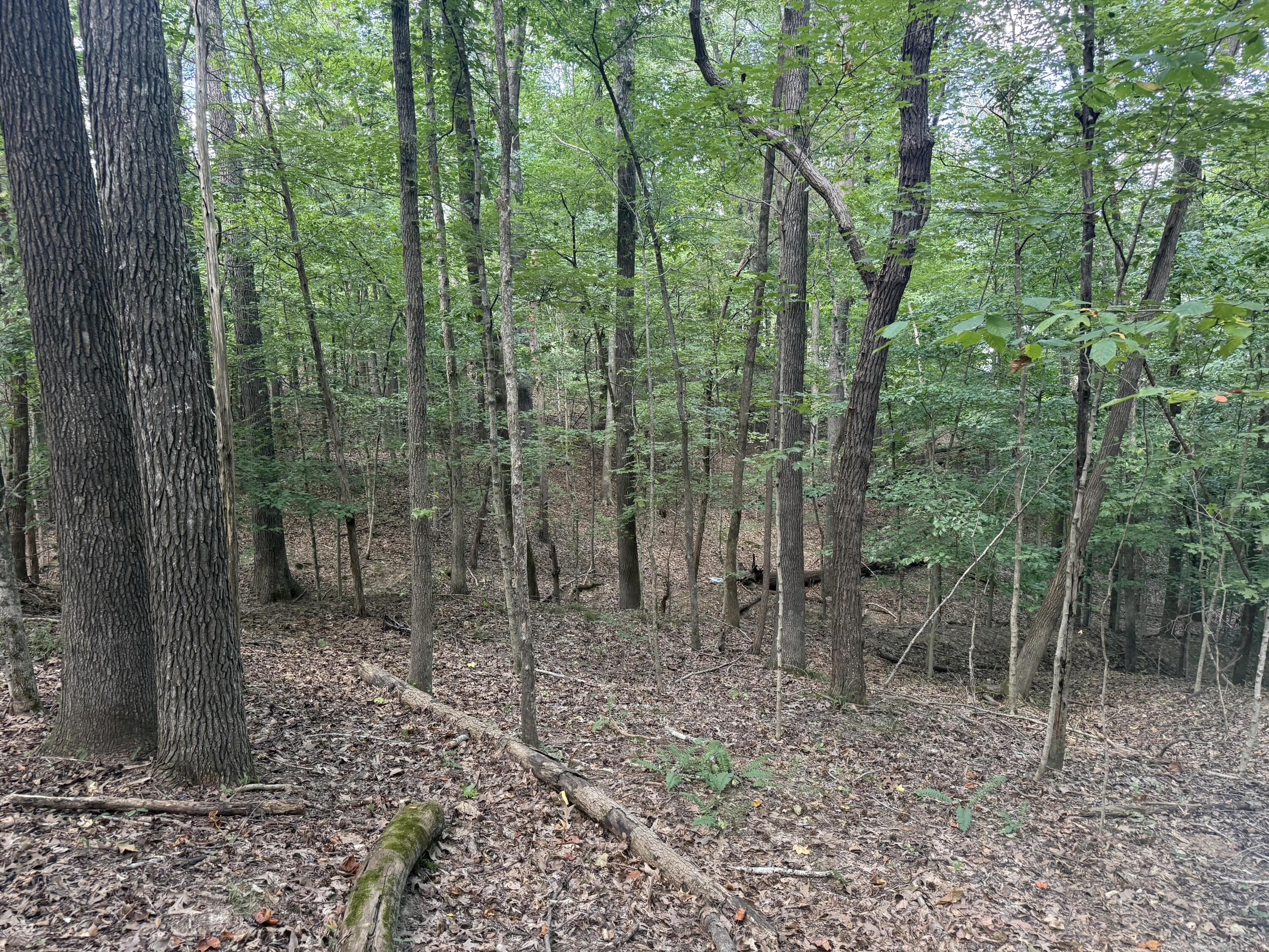 0 Overlook Drive Property Photo 24
