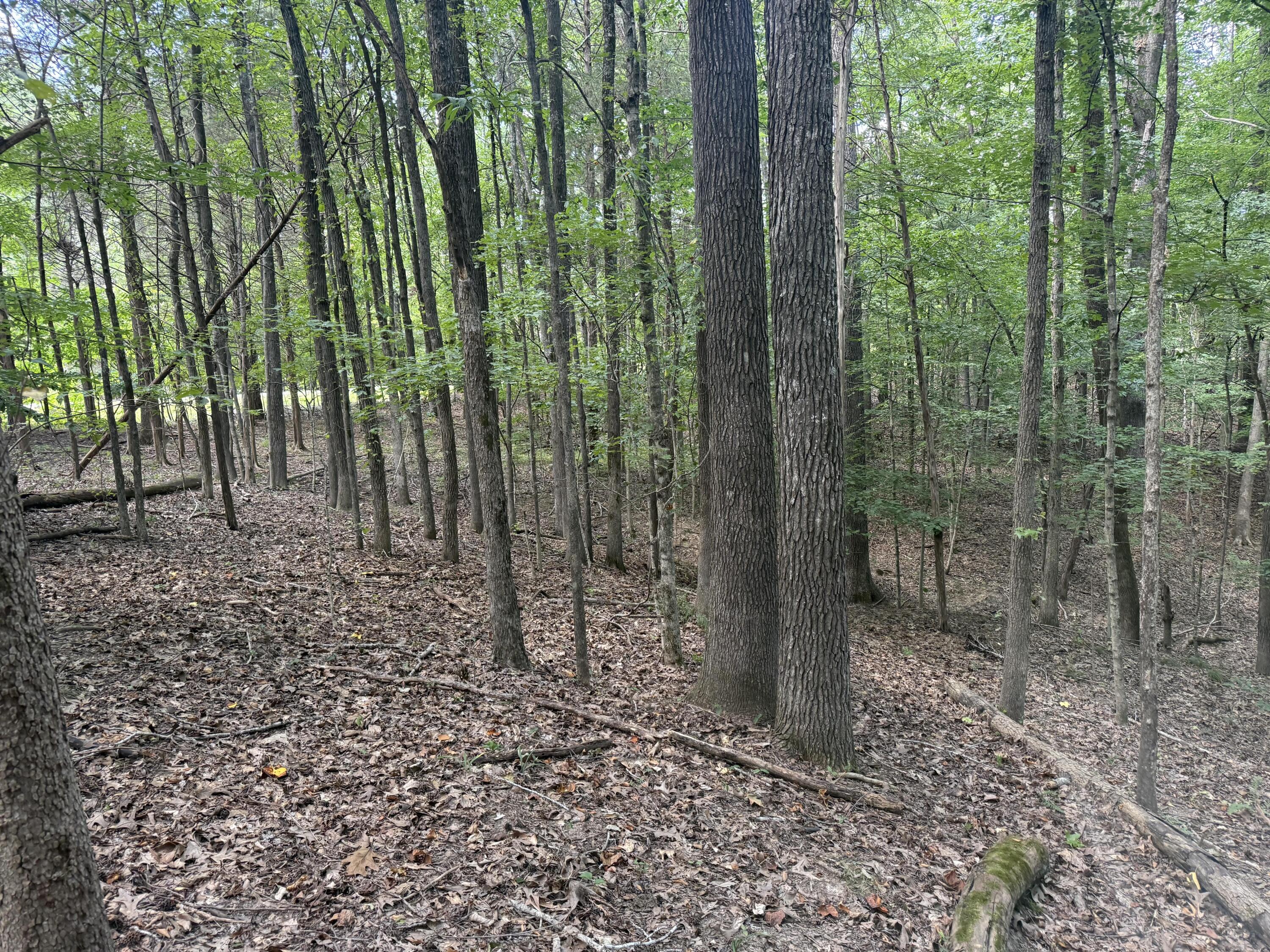 0 Overlook Drive Property Photo 25