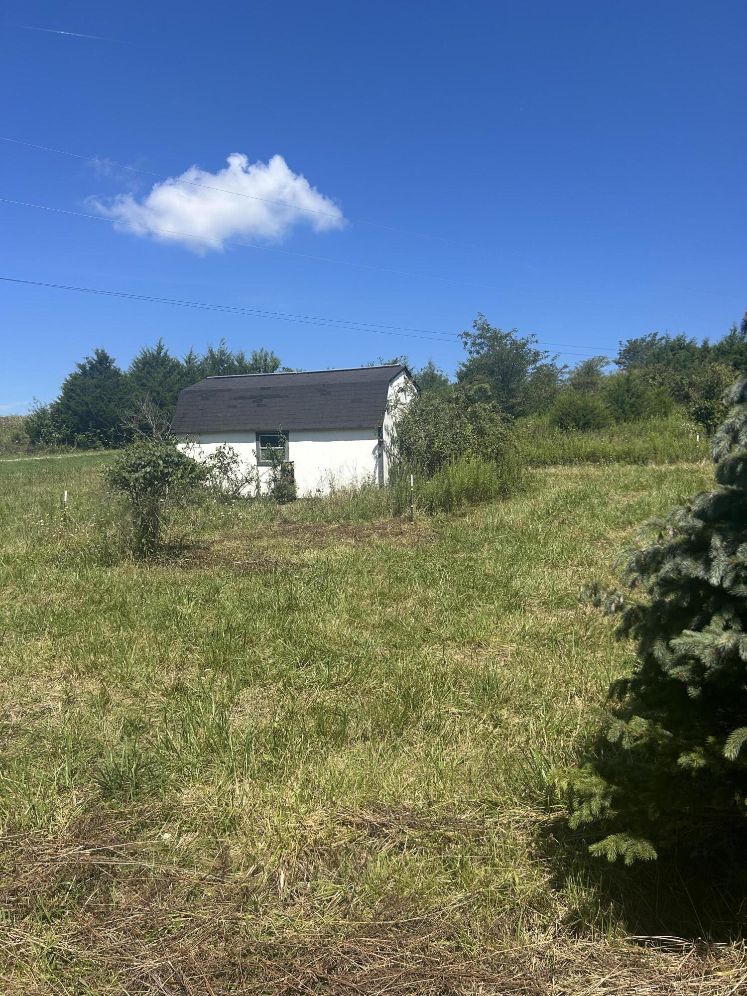 153 Snow Road Property Photo 8