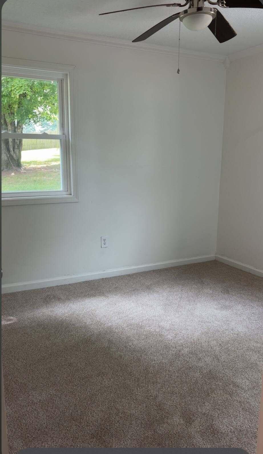 95 Lou Drive Property Photo 15