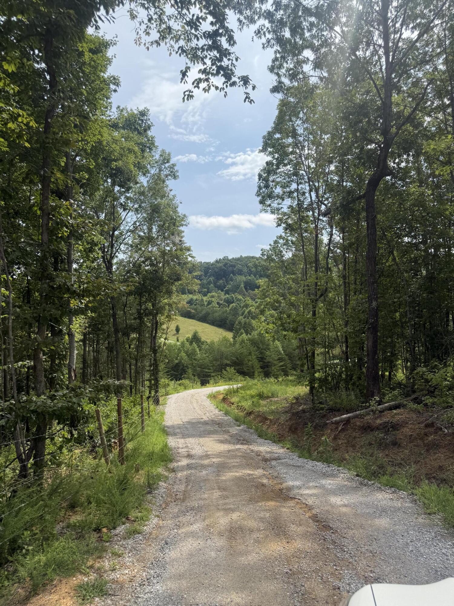 155 Mcfadden Cemetery Road Property Photo 29