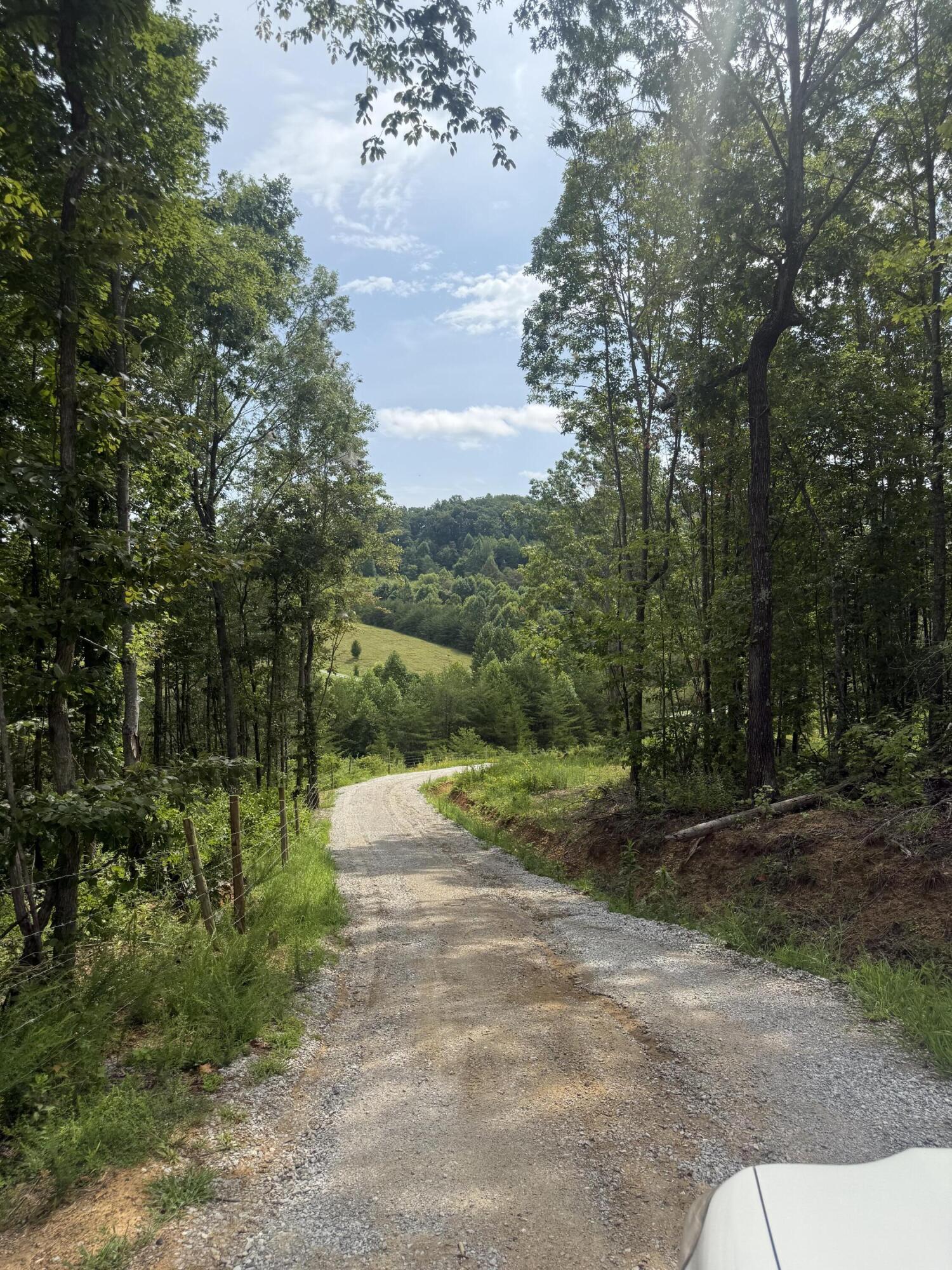 155 Mcfadden Cemetery Road Property Photo 31