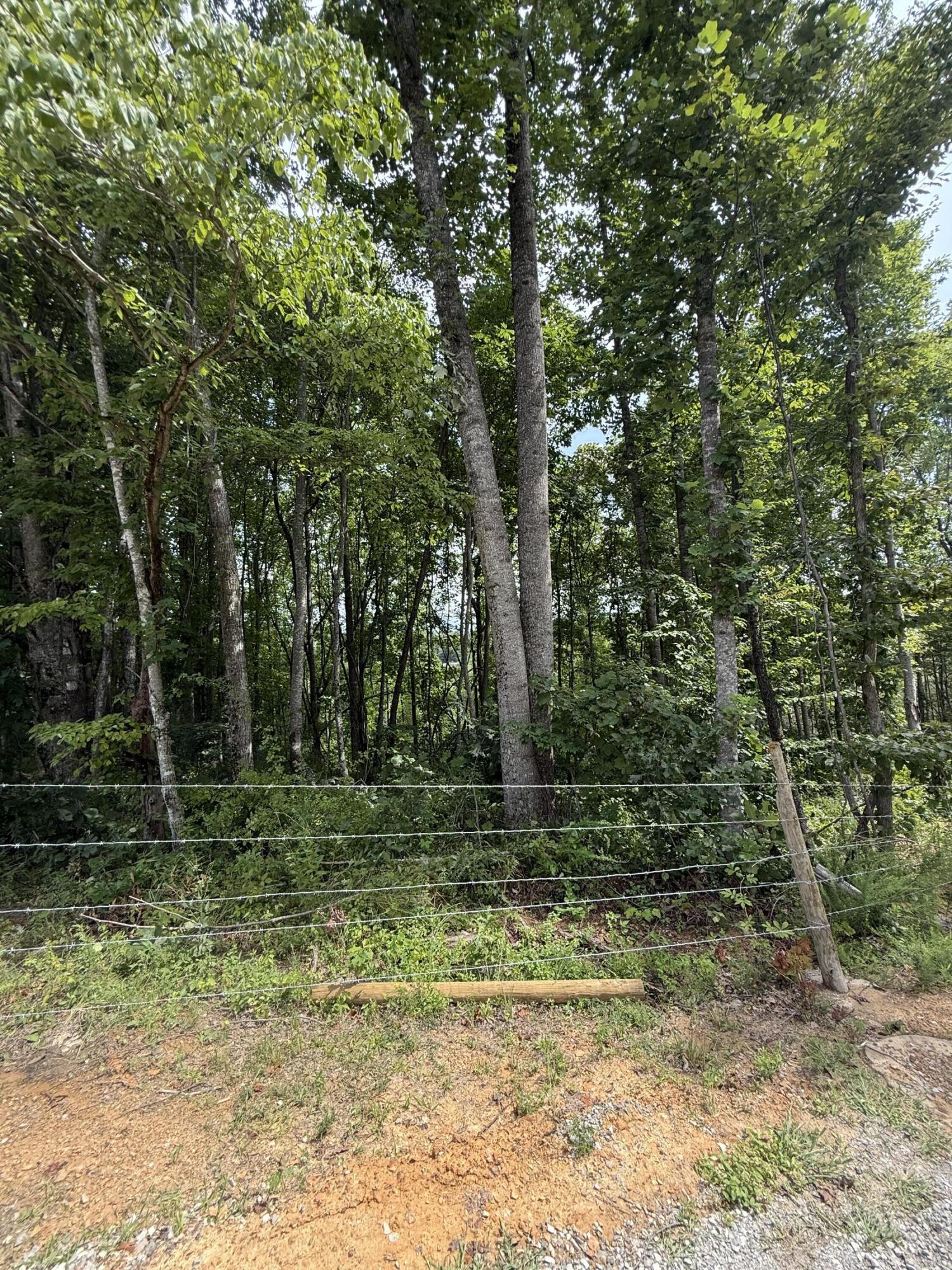 155 Mcfadden Cemetery Road Property Photo 35