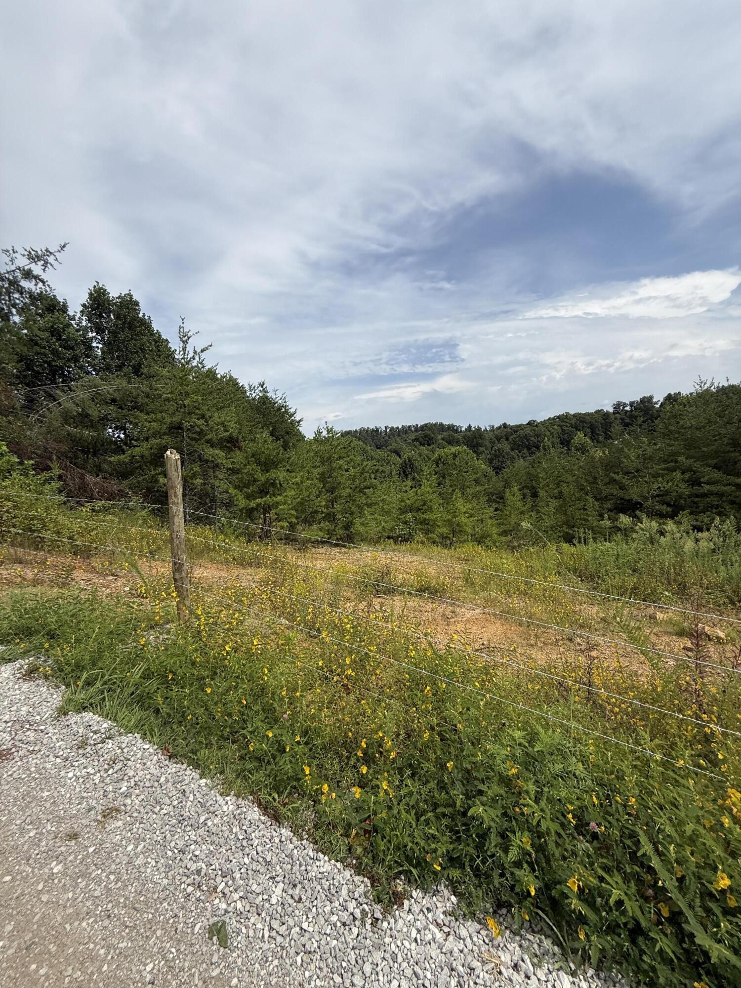 155 Mcfadden Cemetery Road Property Photo 41