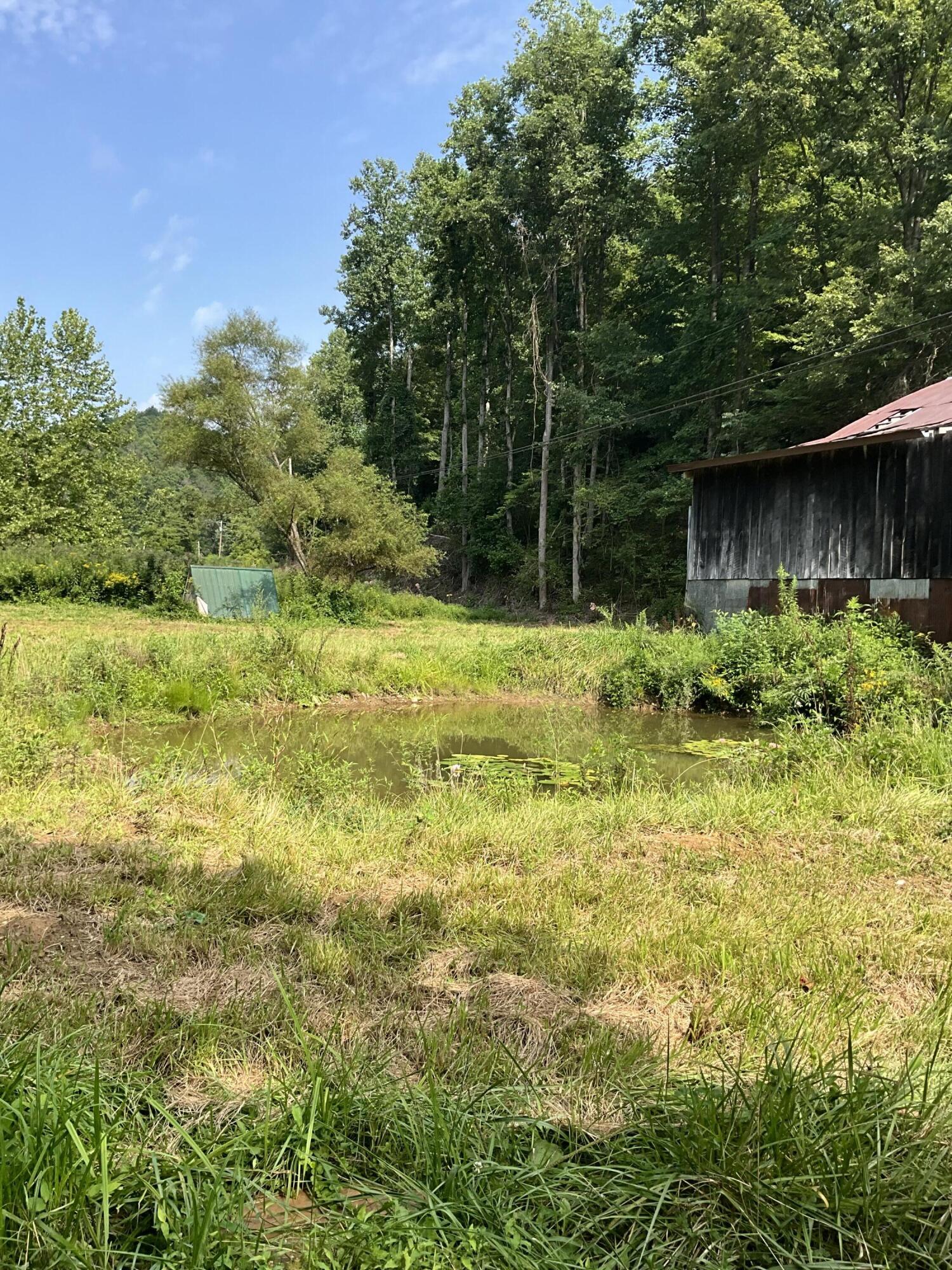 4151 Crane Creek Road Property Photo 6