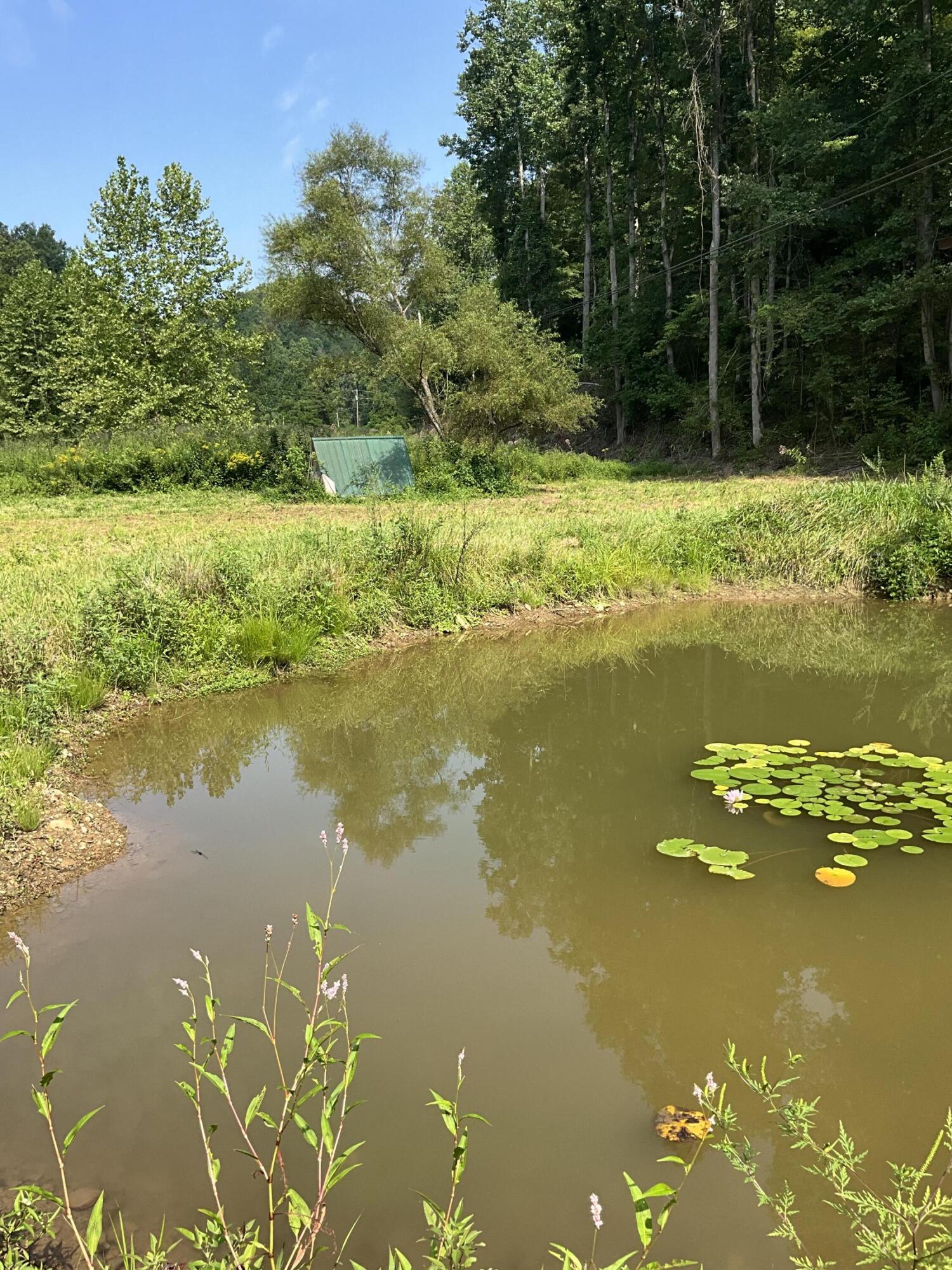 4151 Crane Creek Road Property Photo 8